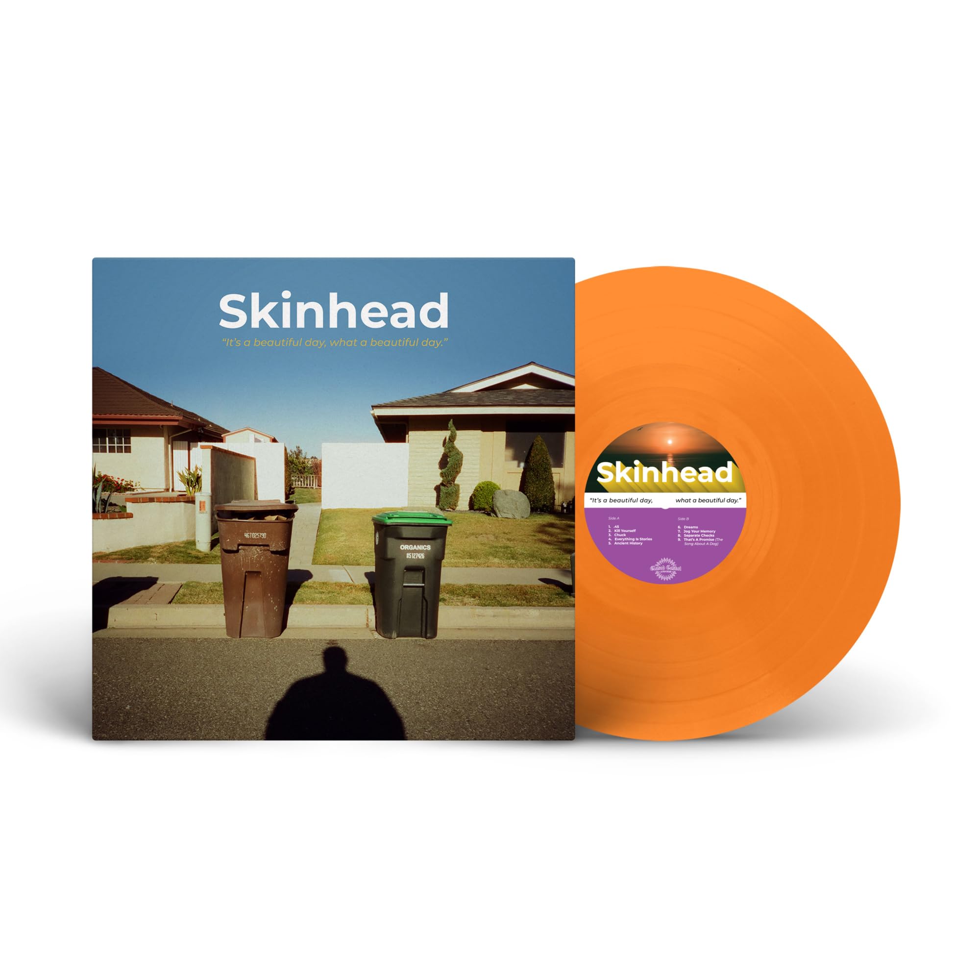 Skinhead - It's a Beautiful Day, What a Beautiful Day [VINYL]