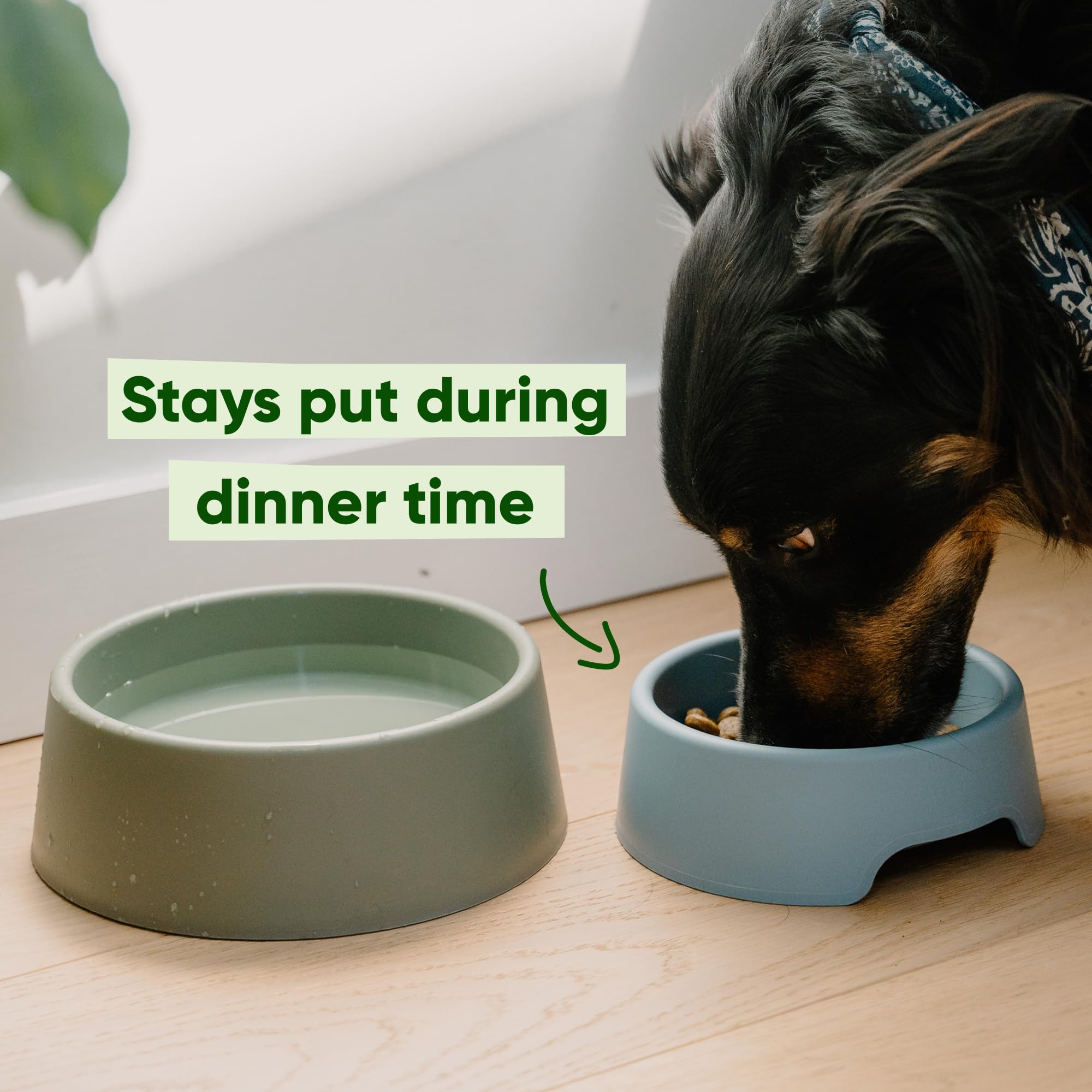 Beco Dog Bowl - Steady, Non-Slip, Recycled Plastic | Small Size | Navy Blue 4