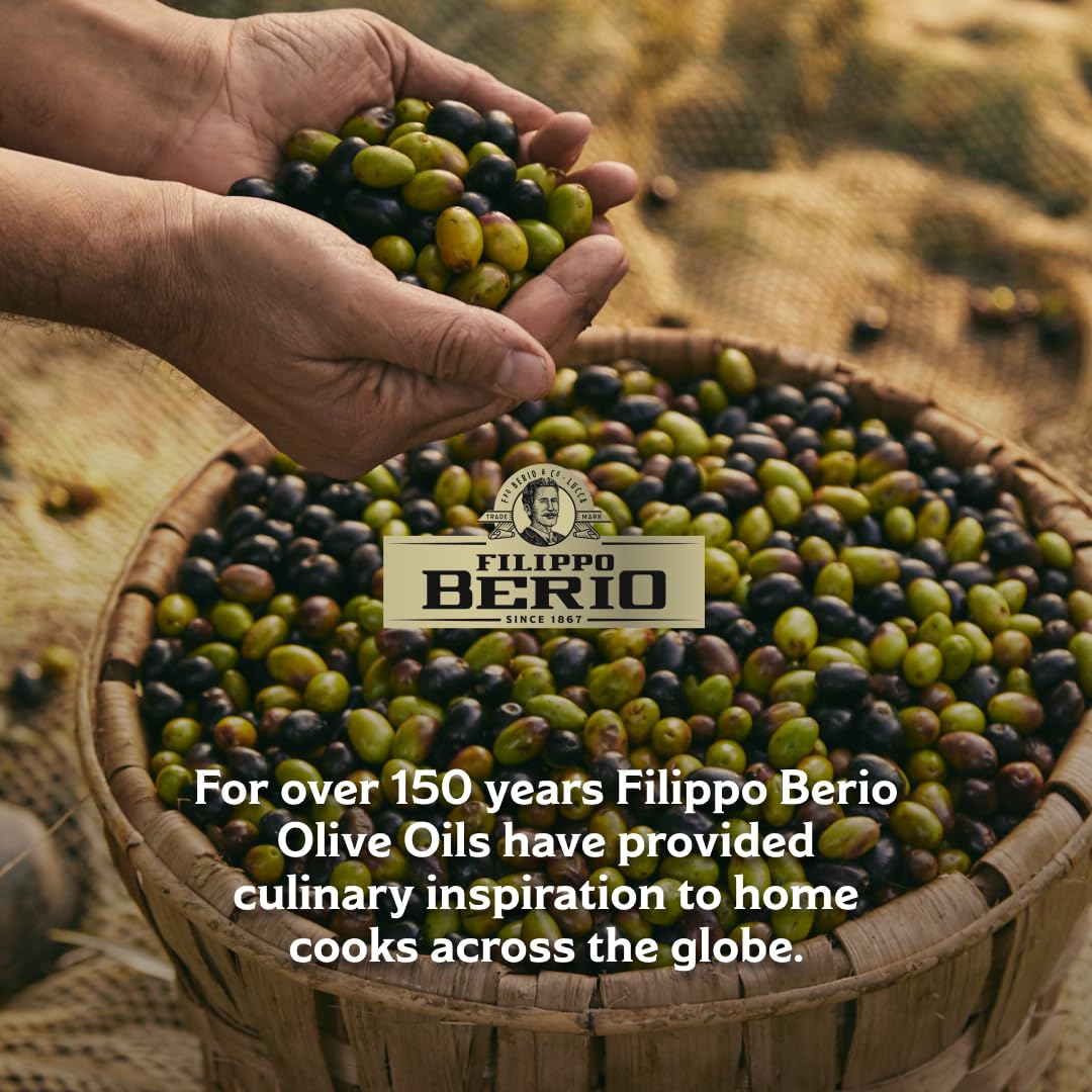 Filippo Berio Classico Olive Oil - Versatile Flavor, Squeezable Bottle | 500ml 6
