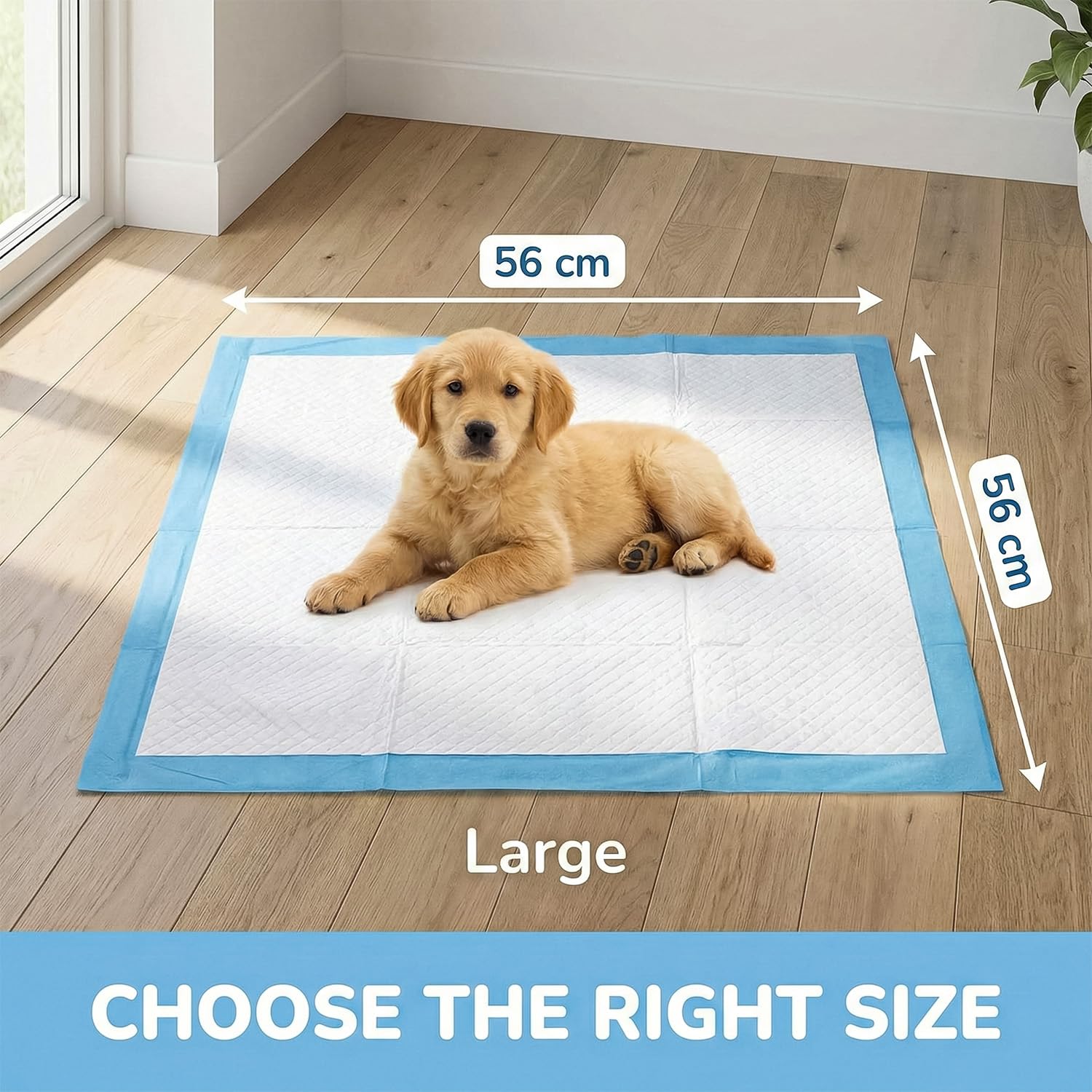 PET'S HUB Disposable Training Pads - Extra Large, 50 Count | 5-Layer Protection | Leak-Proof