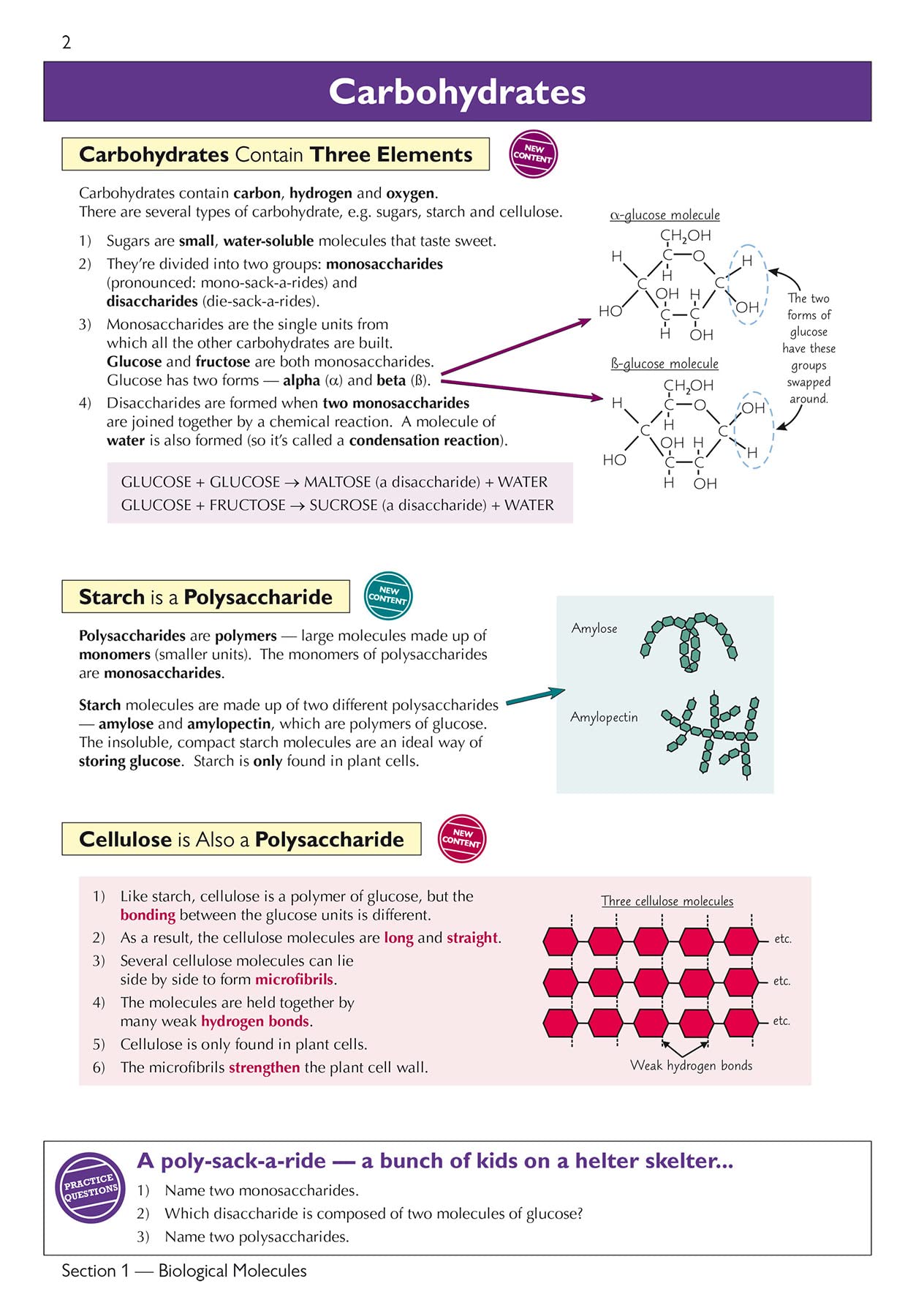 CGP Head Start to A-Level Biology - Bridging GCSE to A-Level Prep | Paperback 3