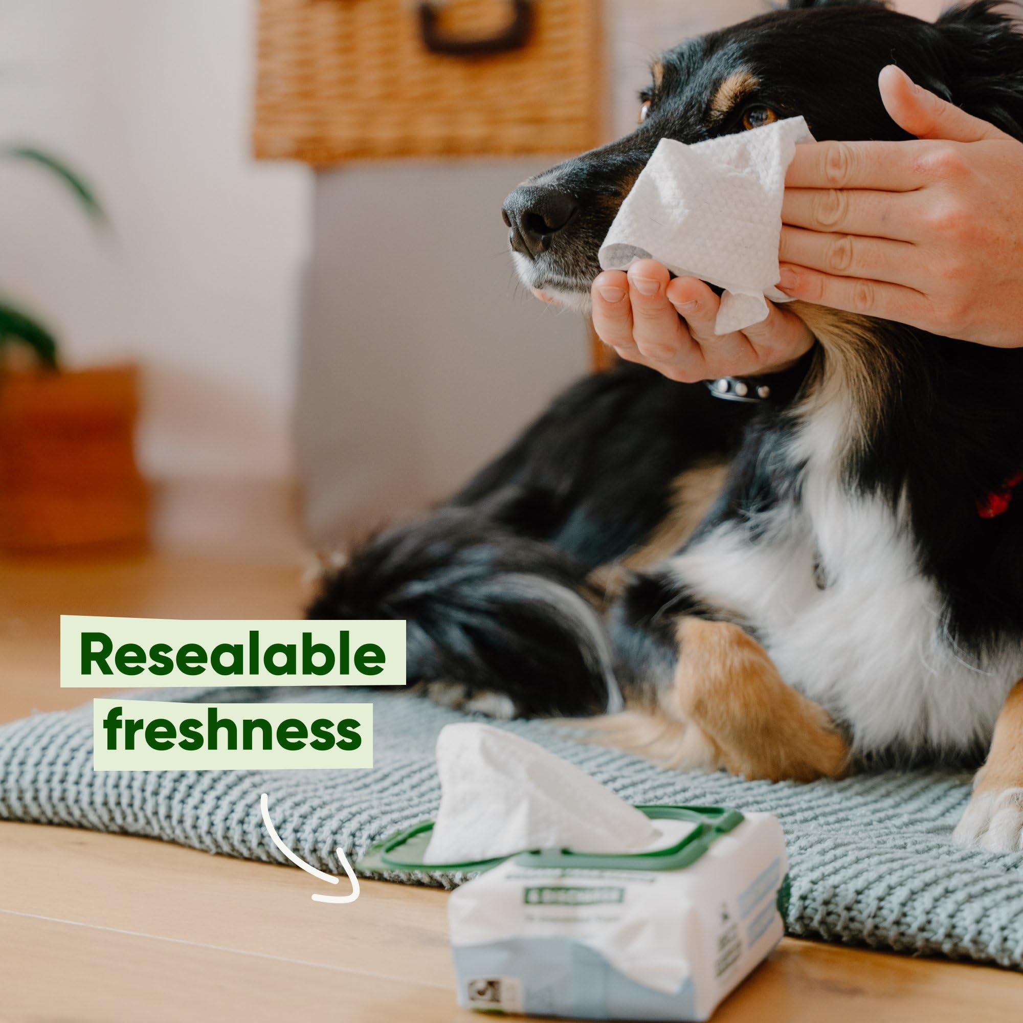 Beco Dog Eye Wipes - 70 Pack for Eye Discharge & Tear Stains | Aloe Vera & Cucumber Infused 5