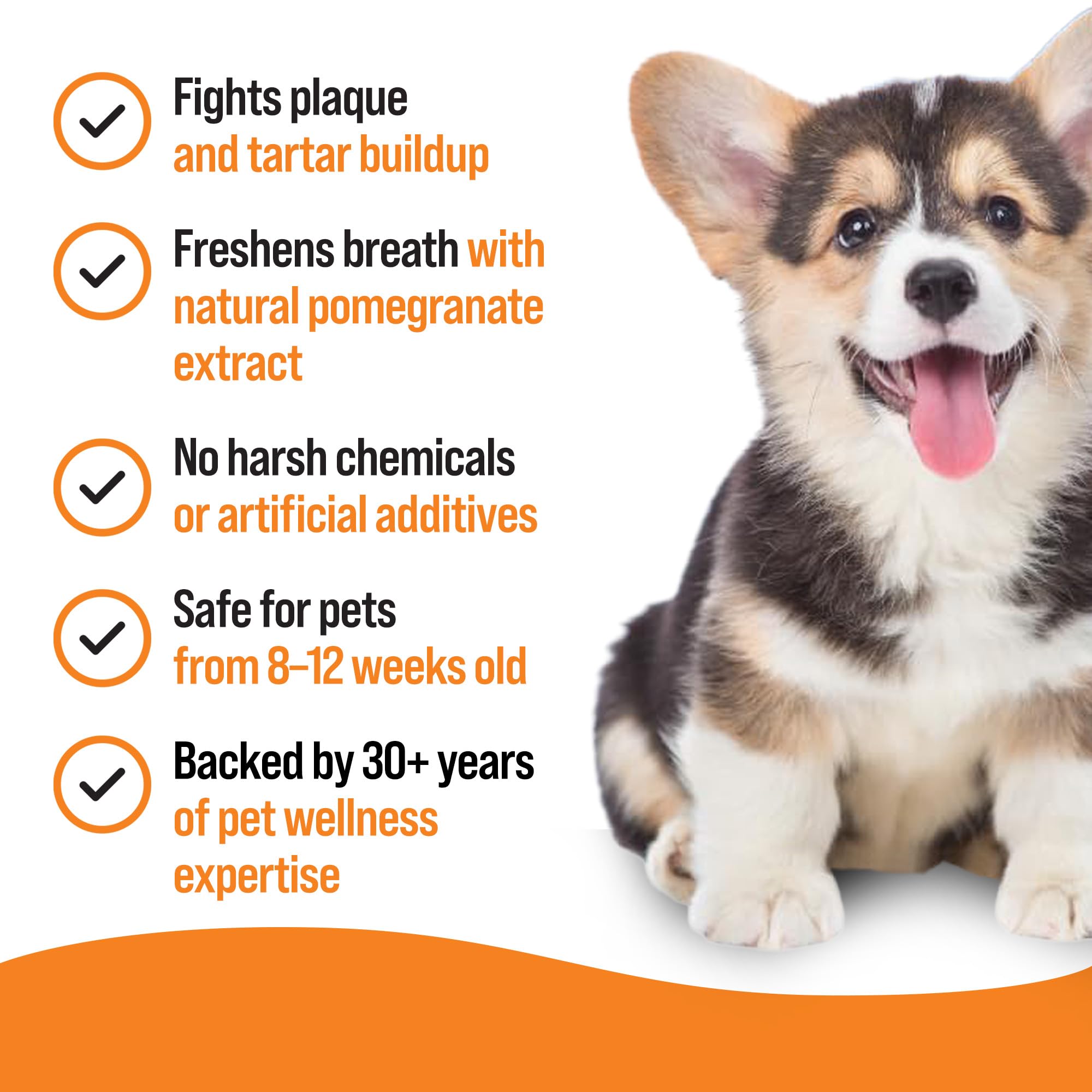 VETIQ 2in1 Denti-Care Oral Hygiene Solution for Dogs & Cats - Reduces Plaque | 250ml 3