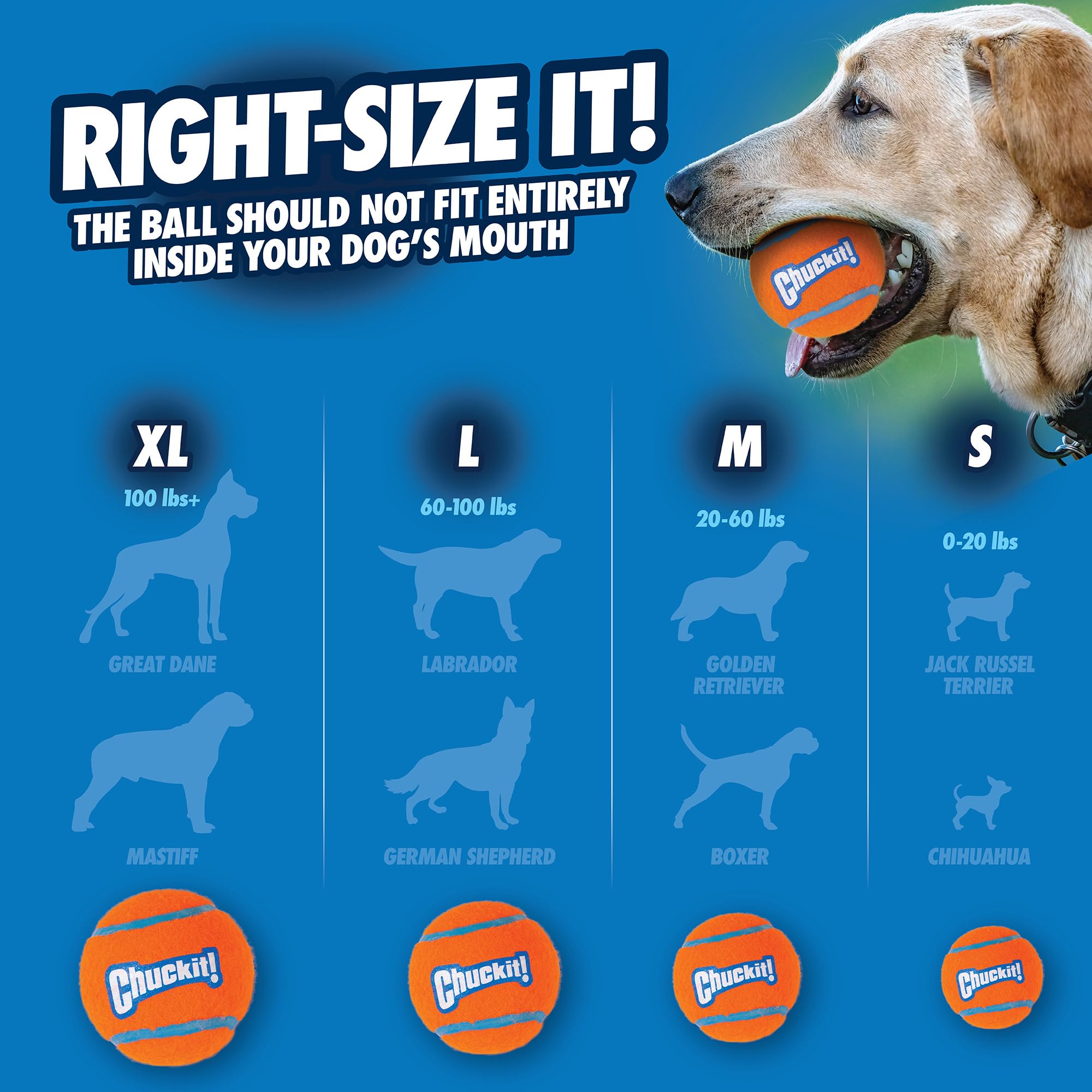 Chuckit! Tennis Ball Fetch Toy - Lightweight & Floatable | Medium Dogs | 4 Pack Orange 7