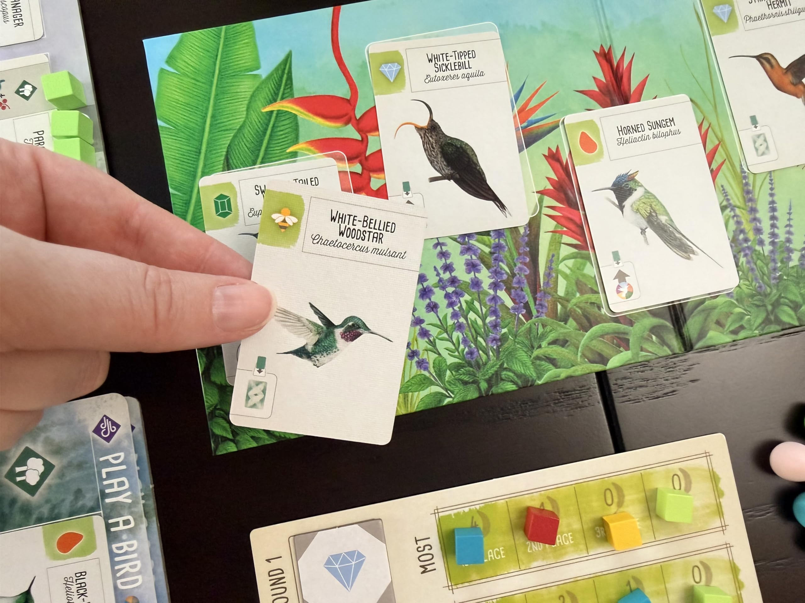 Stonemaier Games Wingspan Americas Expansion Board Game | Ages 14+ | Multicoloured 5