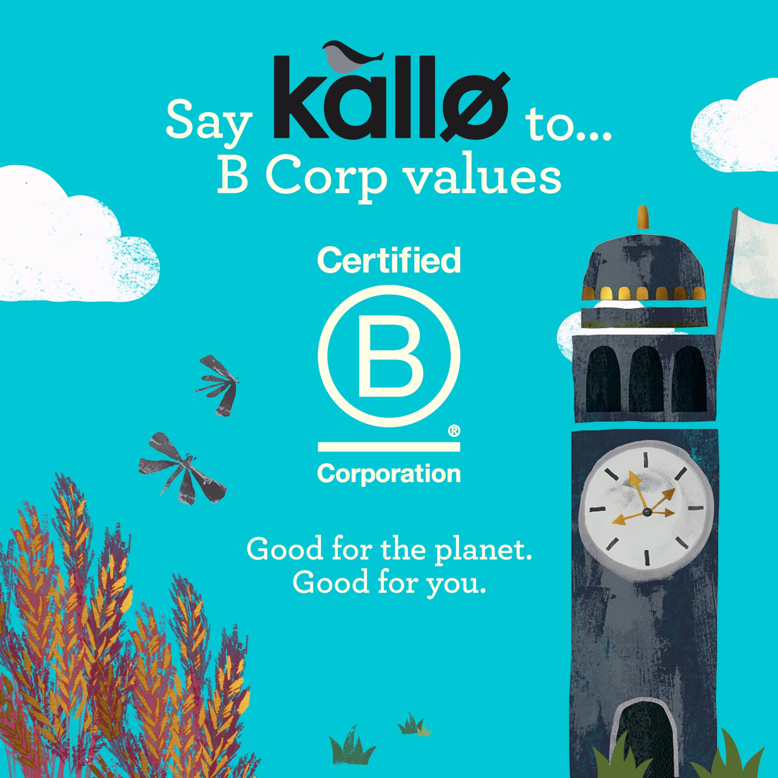 Kallo Protein Packed Lentil Cakes - High Protein, Gluten Free, Vegan Snack | 100g 6