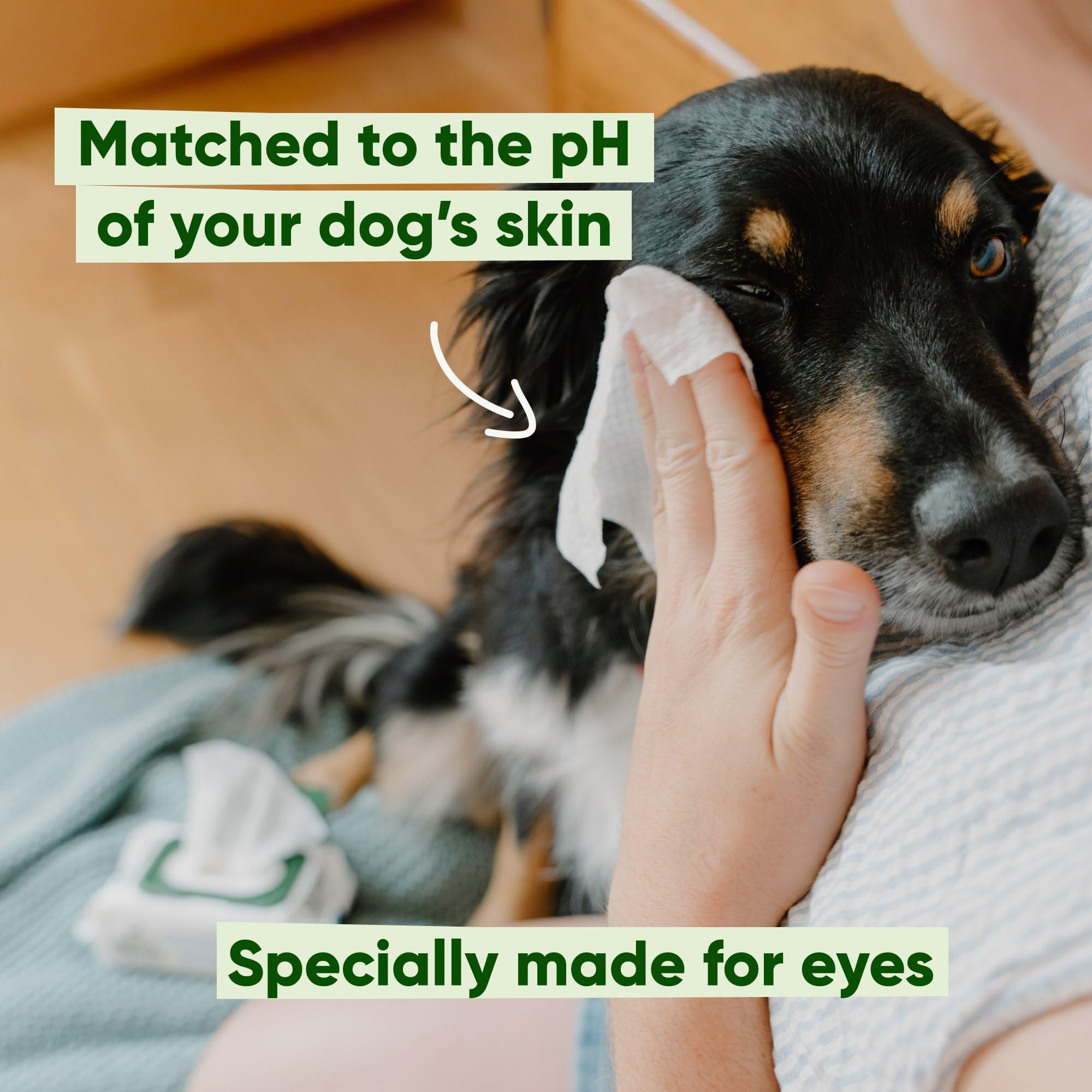 Beco Dog Eye Wipes - 70 Pack for Eye Discharge & Tear Stains | Aloe Vera & Cucumber Infused 3