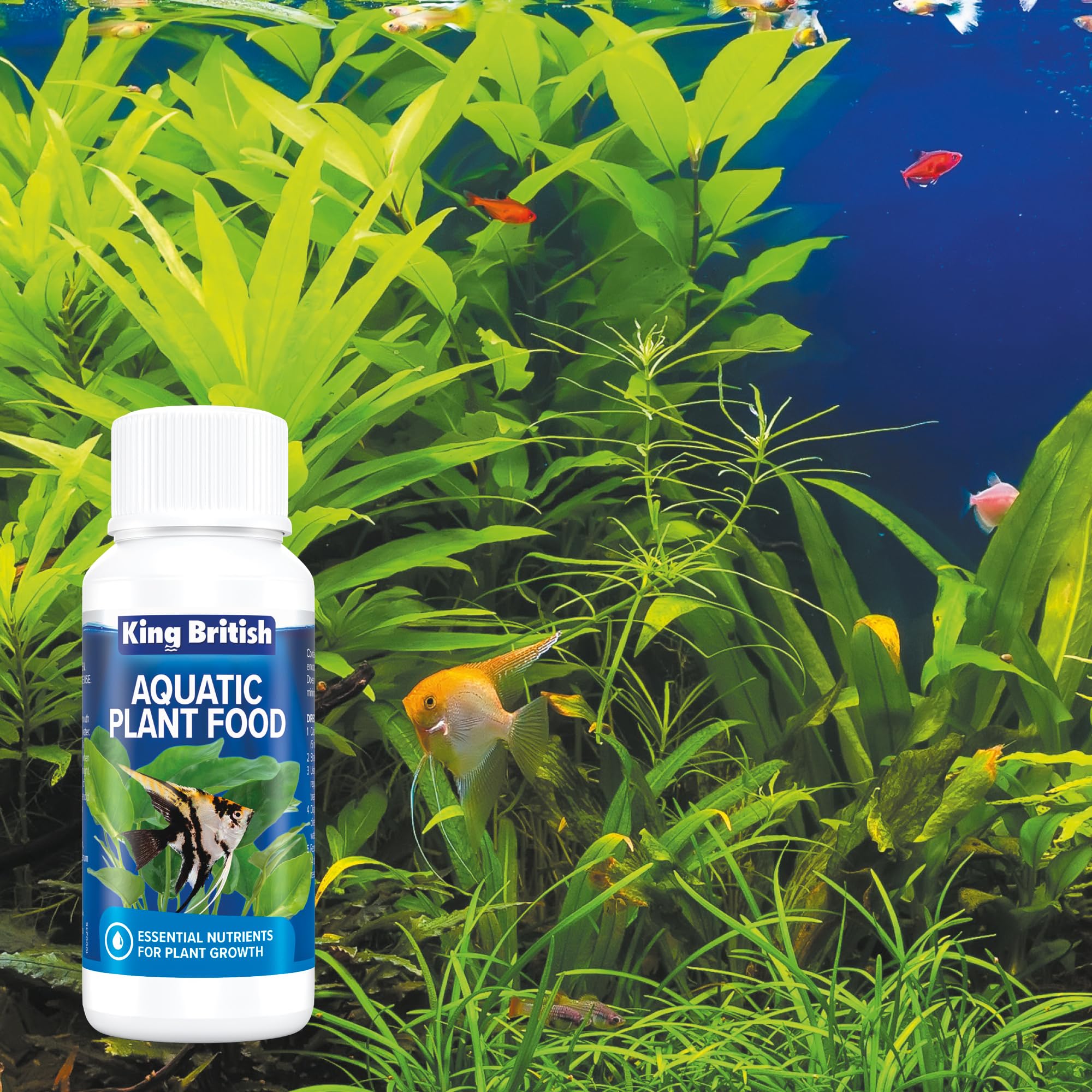 King British Aquatic Plant Food - Nutrient Rich Growth Booster | 100ml Liquid | No Nitrate/Phosphate 6