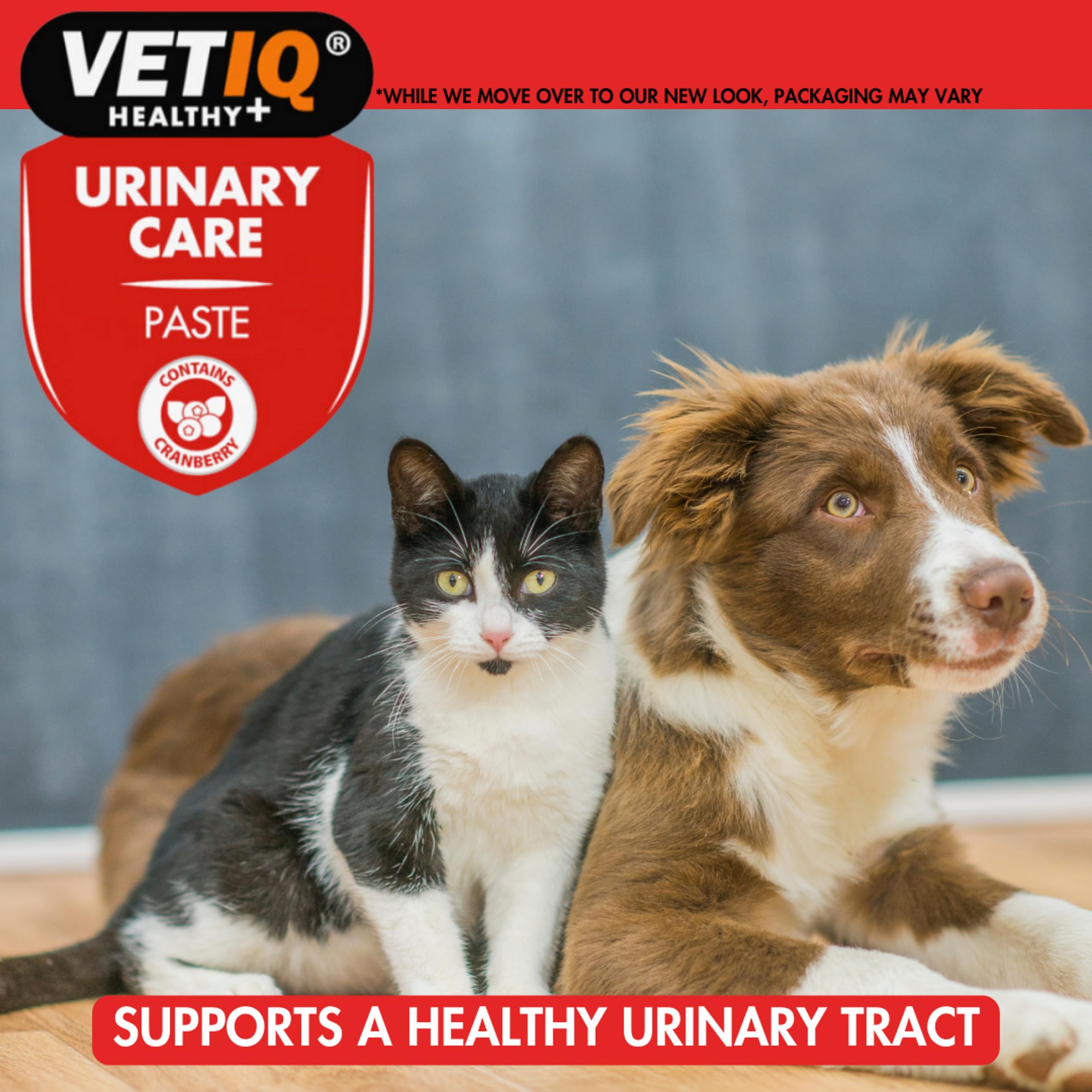 VETIQ Urinary Care Paste Supplement for Cats & Dogs with Cranberry | Supports Healthy Urinary pH | 100 g 7