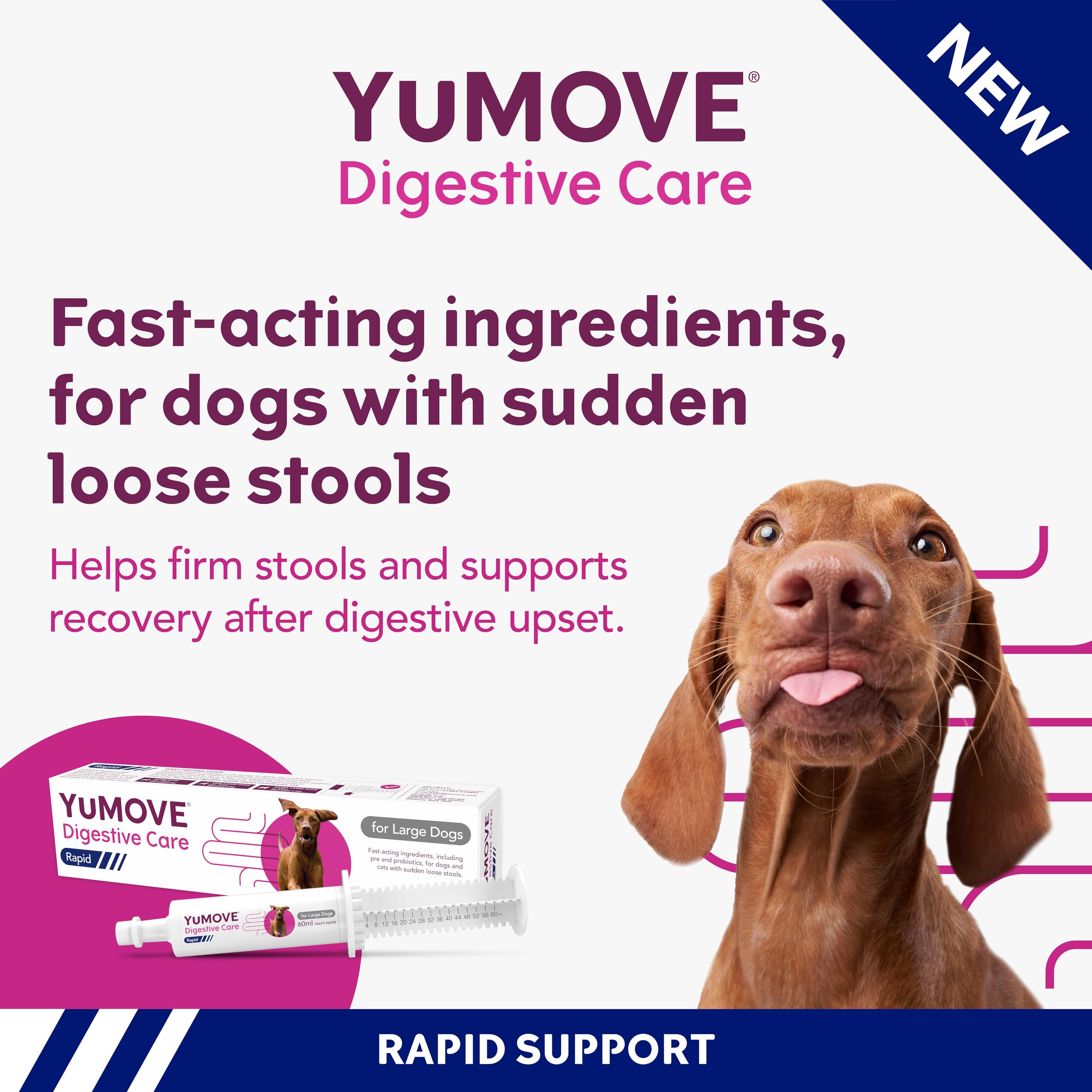 YuMOVE Digestive Care Rapid Probiotic Paste for Dogs - Fast-Acting Stool Firming Aid | 60ml