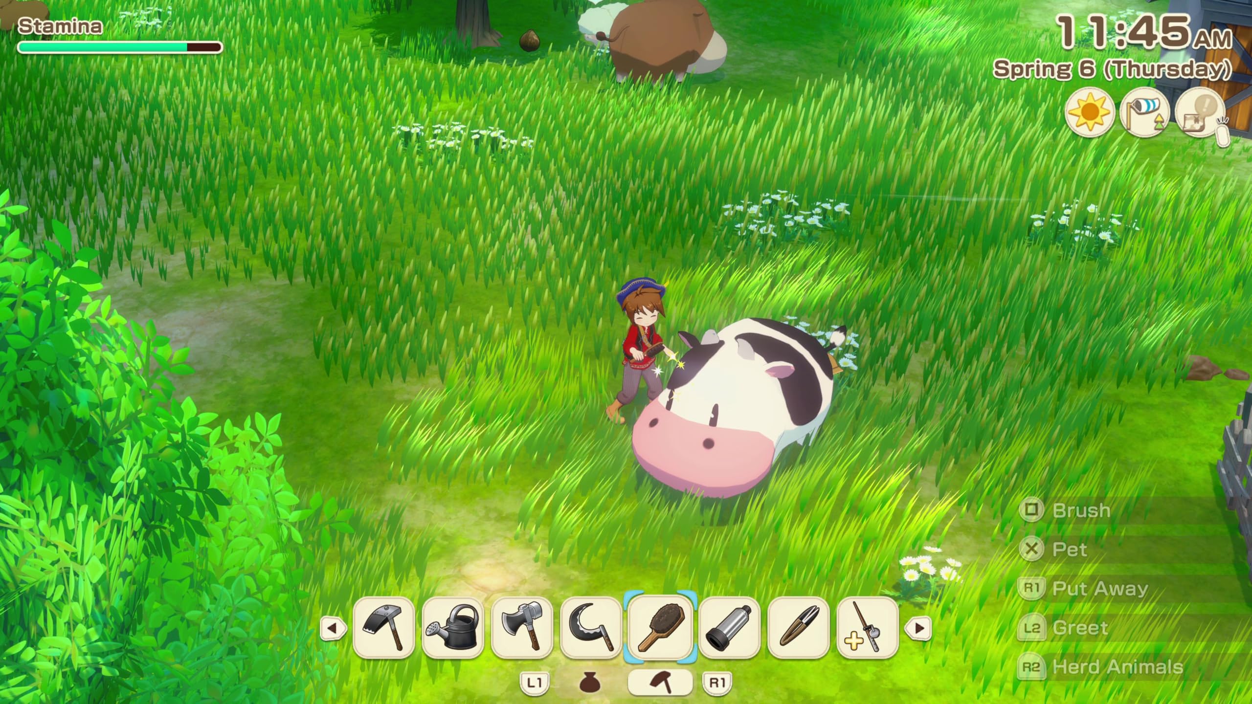Story of Seasons: Grand Bazaar [PS5]