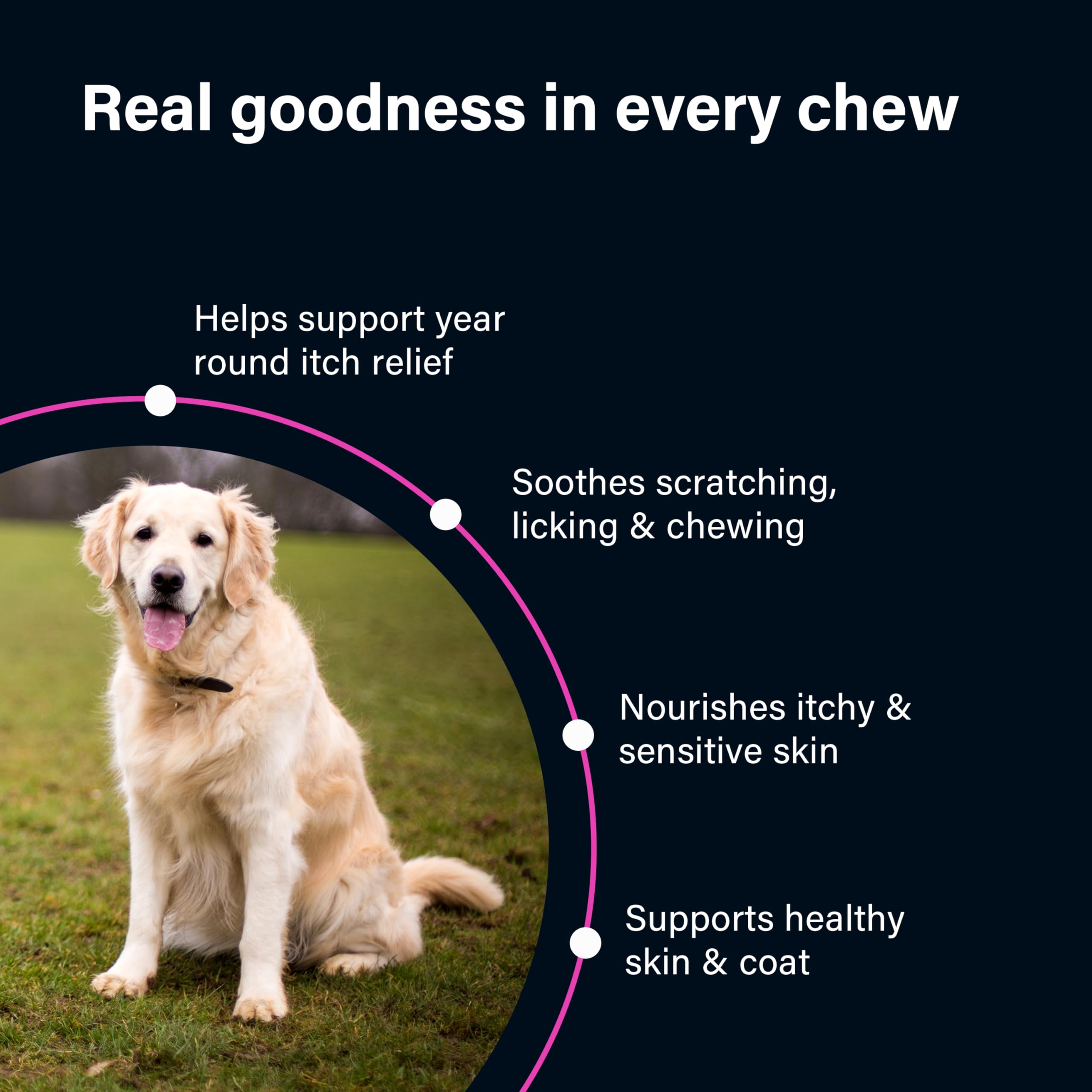 Go Mutts All Itch and Immunity Treats for Dogs - 90 Soft Chews | Anti-Itch & Immune Support 4