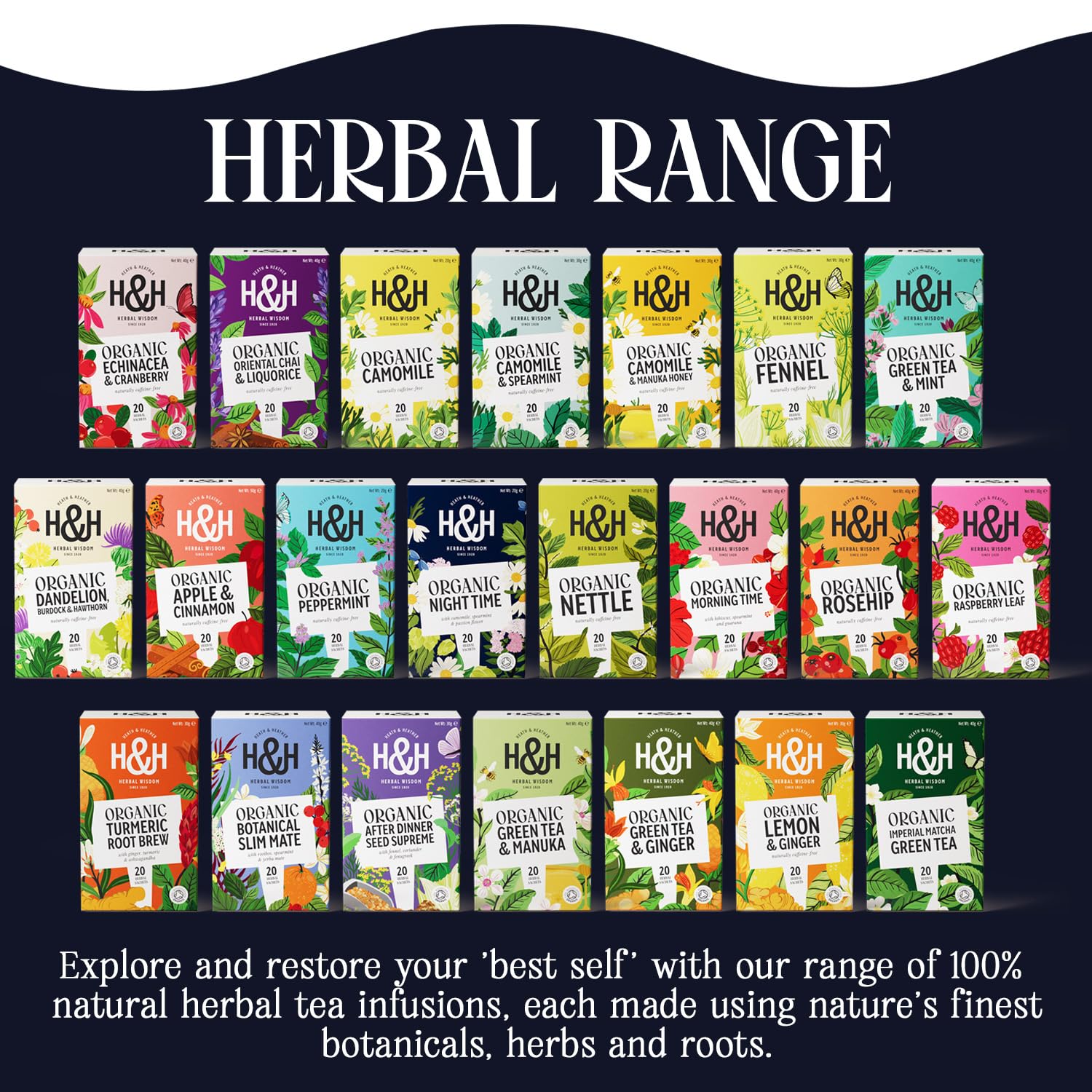 Heath & Heather Organic Soft & Sleepy Night Time Herbal Tea Bags - 6 Packs of 20 Count | Caffeine-Free 6