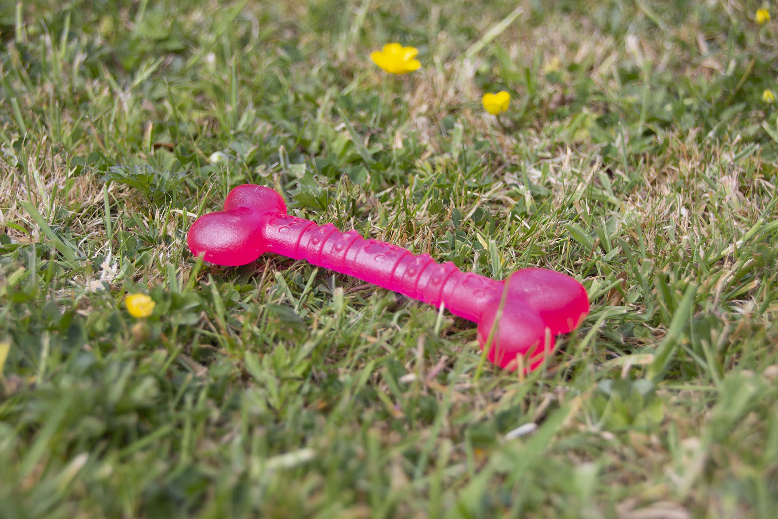 Rosewood BioSafe Puppy Bone - Antimicrobial Chew Toy for Teething Puppies | Pink | Mint Scented 5