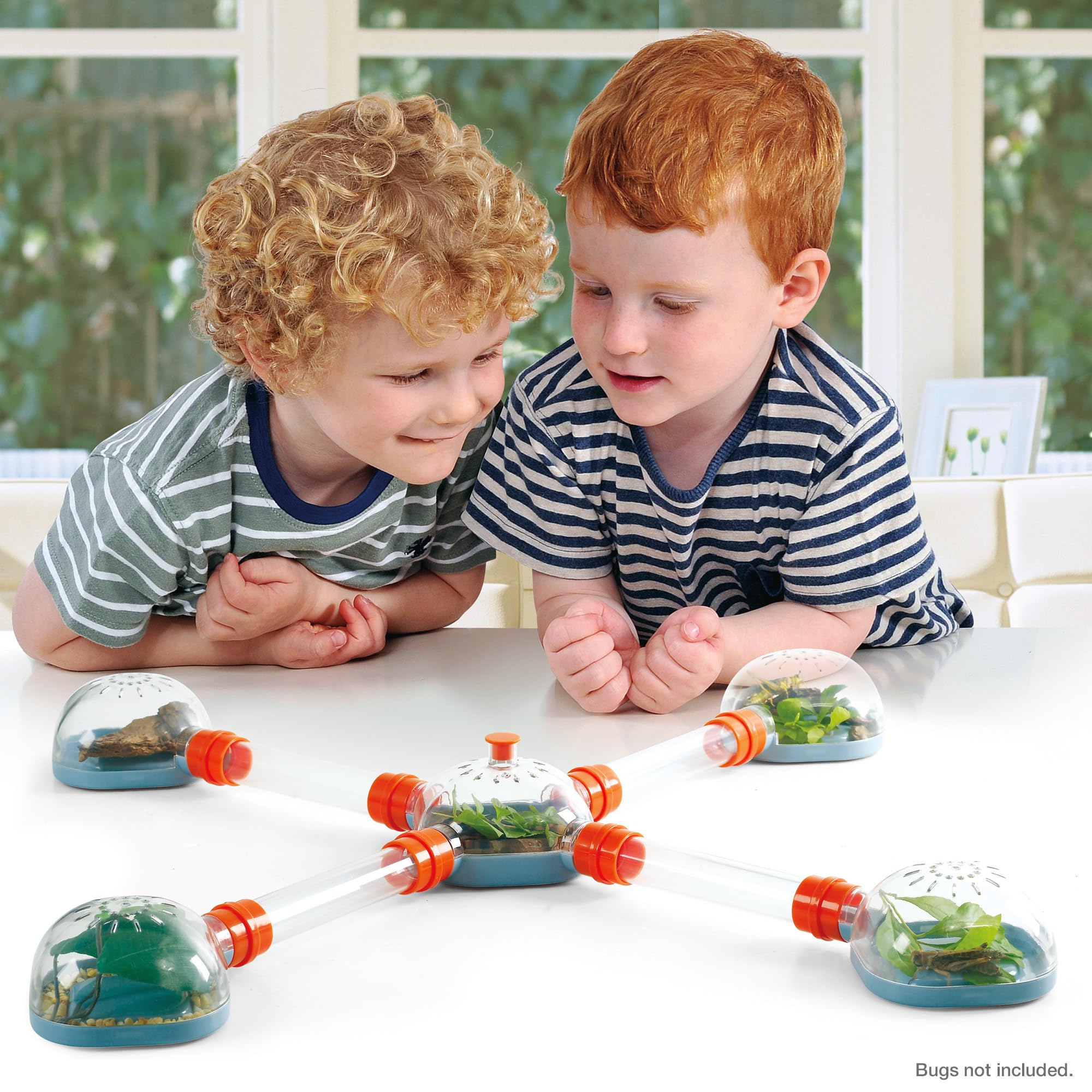 Peterkin Classics Bug City Bug Hotel Science Kit | STEM Learning | Green Plastic 5