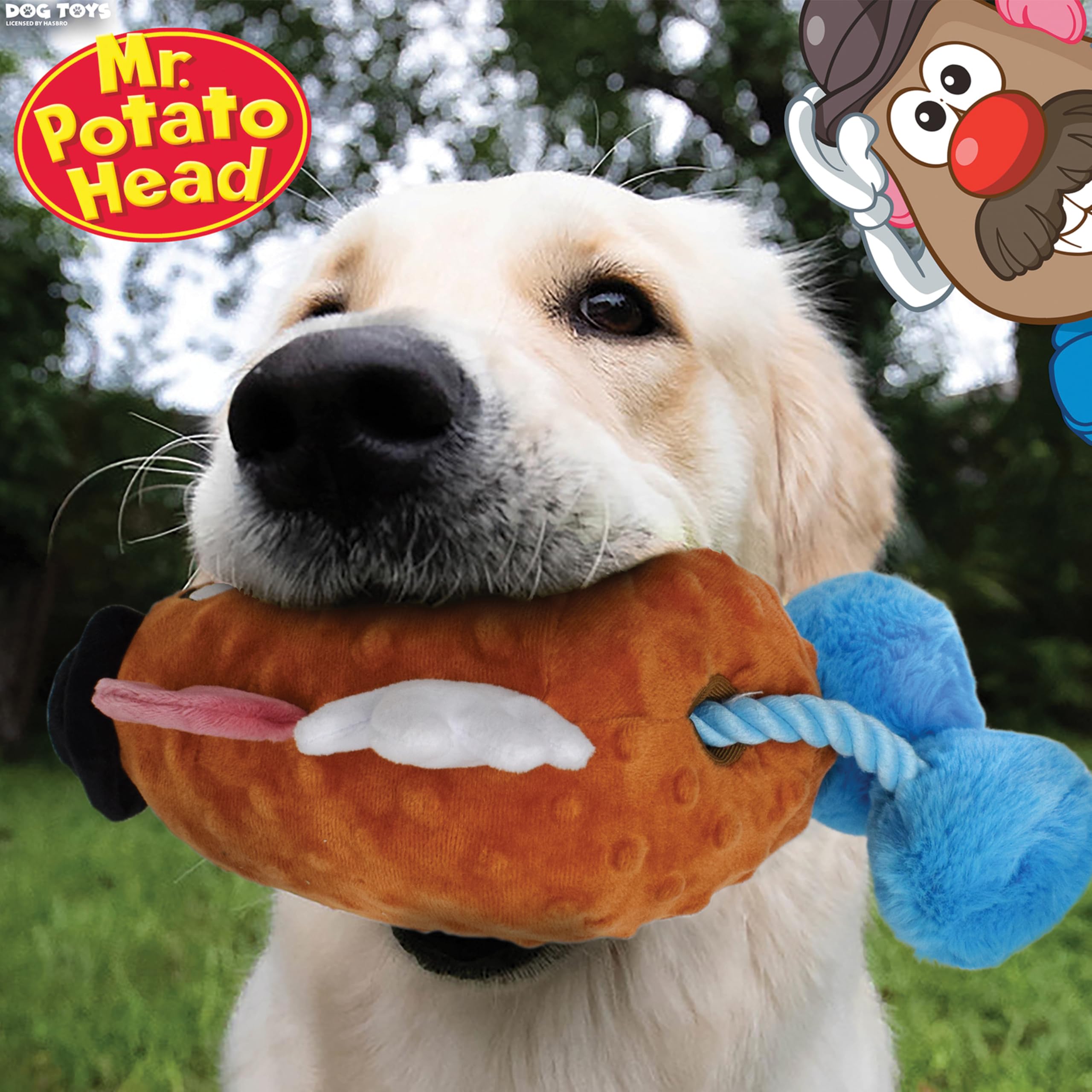 Hasbro Mr. Potato Head Plush Dog Toy - 11-Inch Squeaker and Crinkle Toy 2