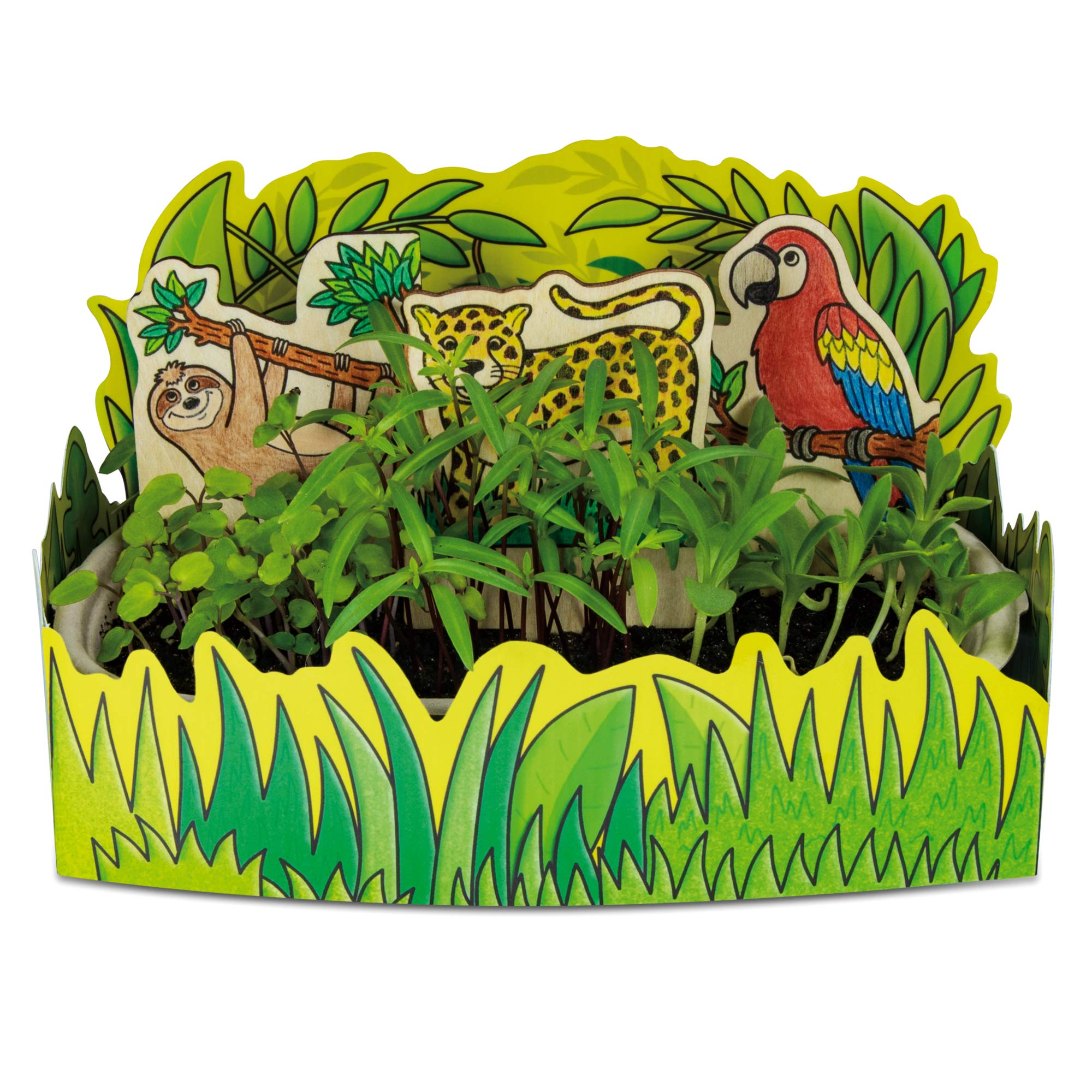 Galt Nature Lab Science Kit for Kids Ages 5+ | 4 Floral Experiments | STEM Learning 3
