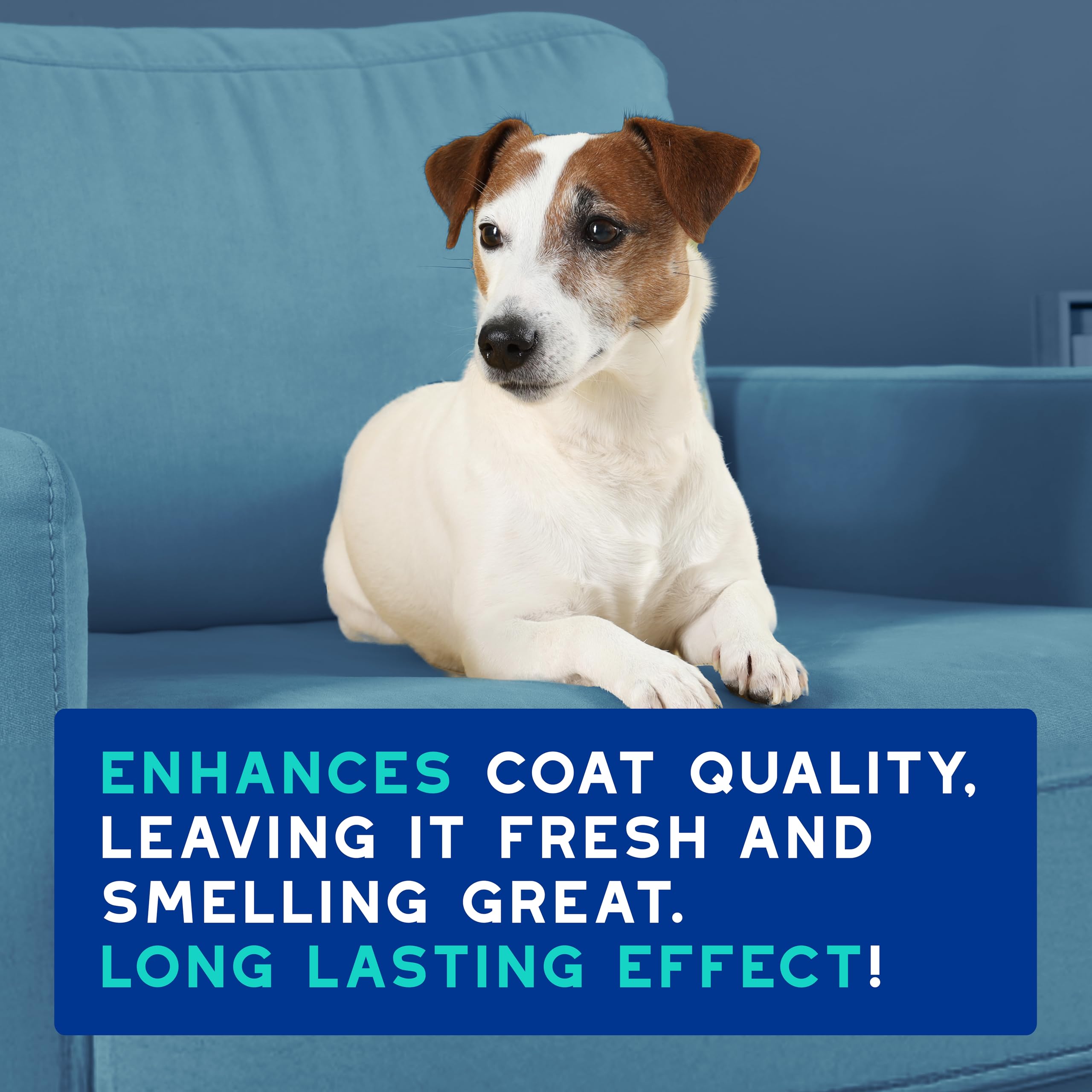 Douxo Odour Control Dog Shampoo - Deodorizing & Hypoallergenic Coco Vanilla Scent | 250 ml 7