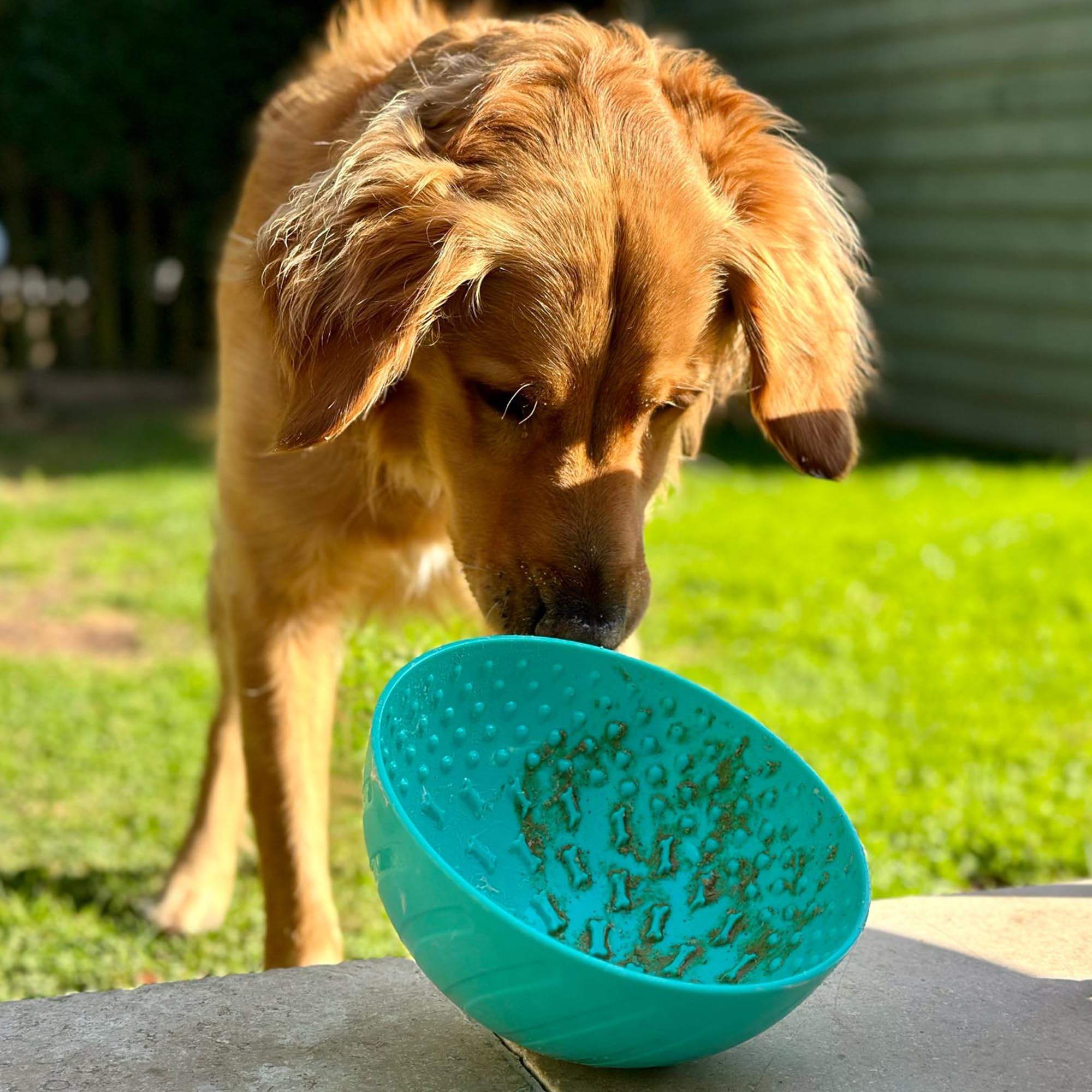 Ancol Örva Pet Enrichment Wobble Bowl - Interactive Slow Feeder for Dogs | Green | Durable