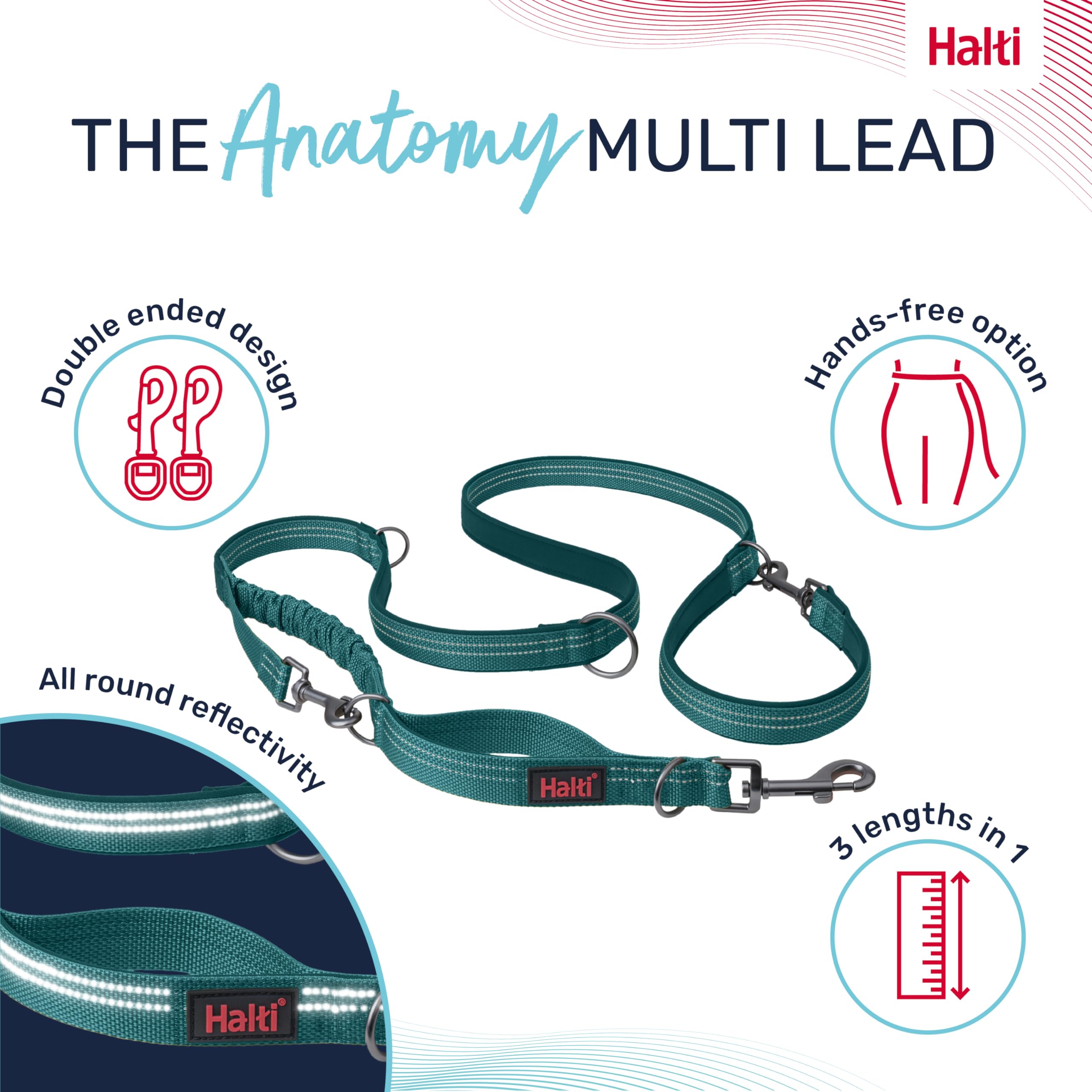 Halti Anatomy Multifunctional Dog Lead - Shock Absorbing Bungee | Teal, Size L (Up to 55kg)