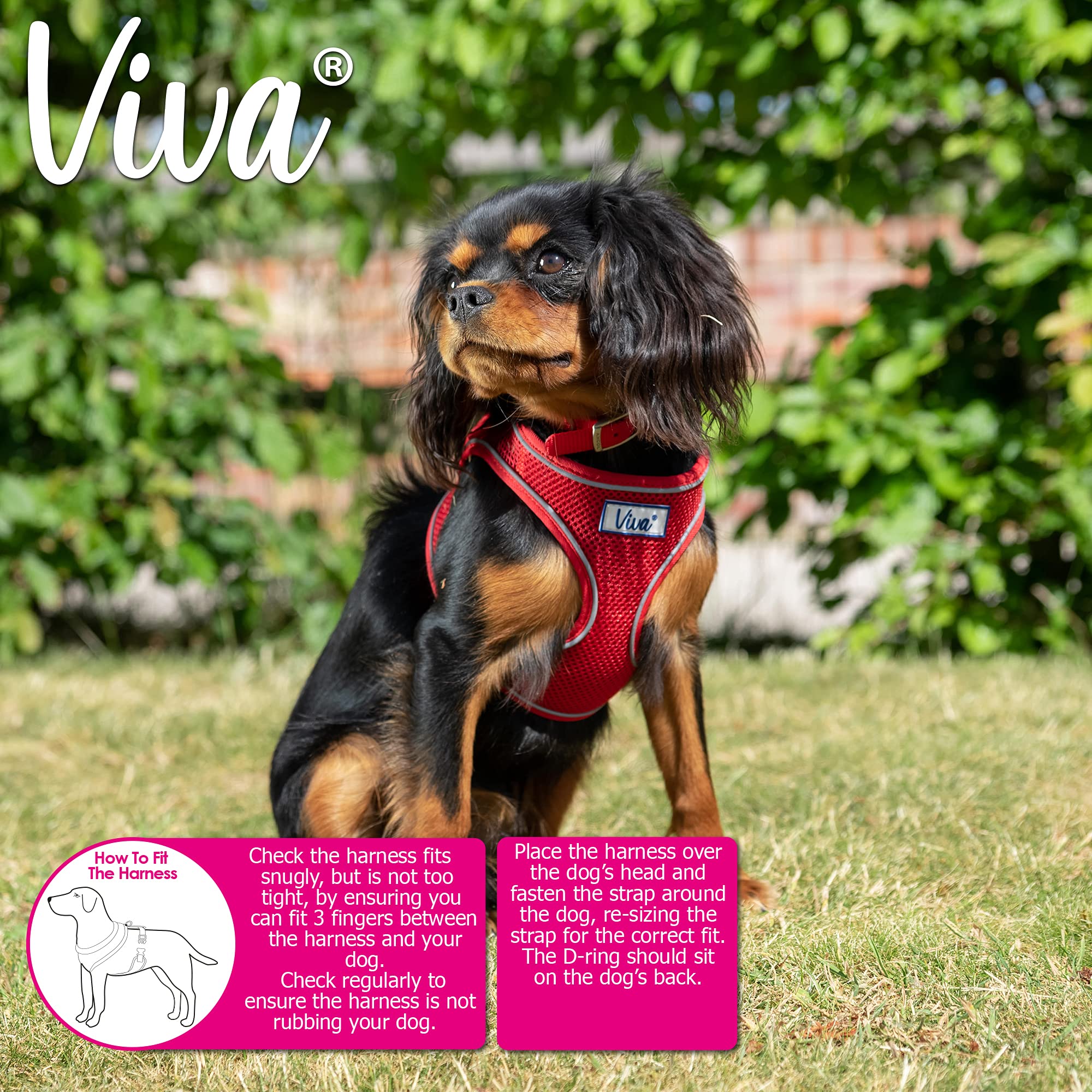 Ancol Viva Lightweight Mesh Dog Harness - Red, Size Medium (Girth 44-57 cm) 4