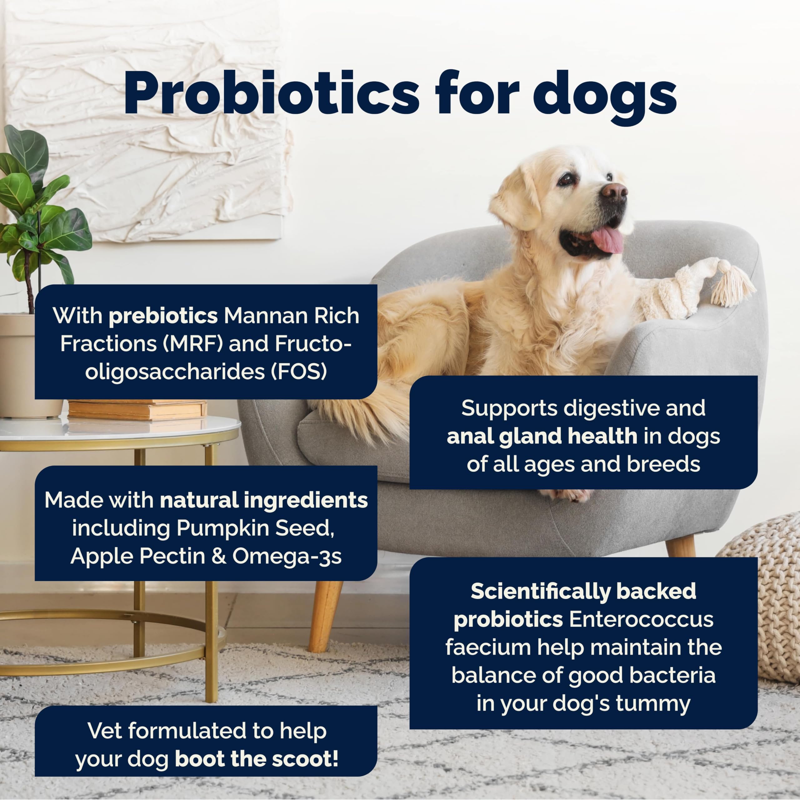 Vetnique Glandex For Dogs UK - 120 Soft Chews | Anal Gland Support & Digestive Health