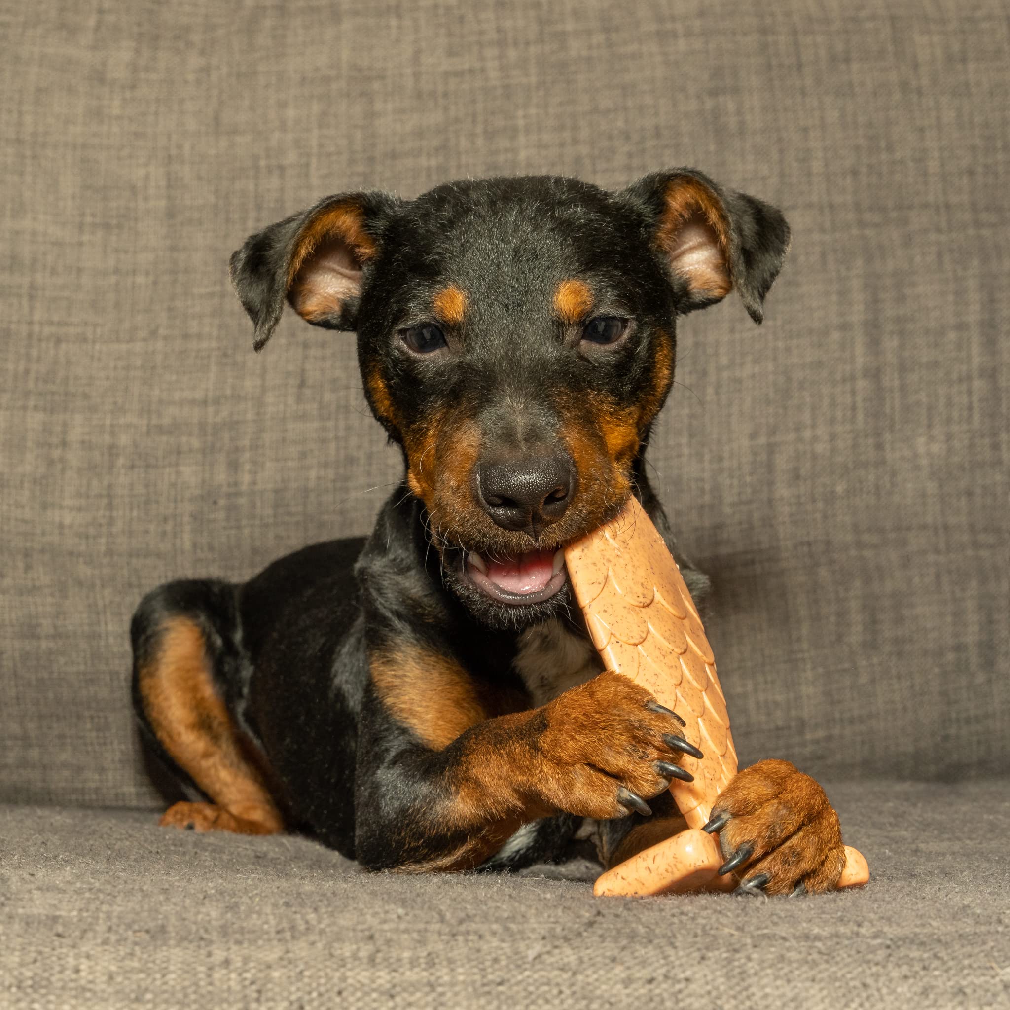 Bamboodles Dog Chew Toy - Medium Size | Salmon Flavour | Durable Bamboo & Nylon Stick 3