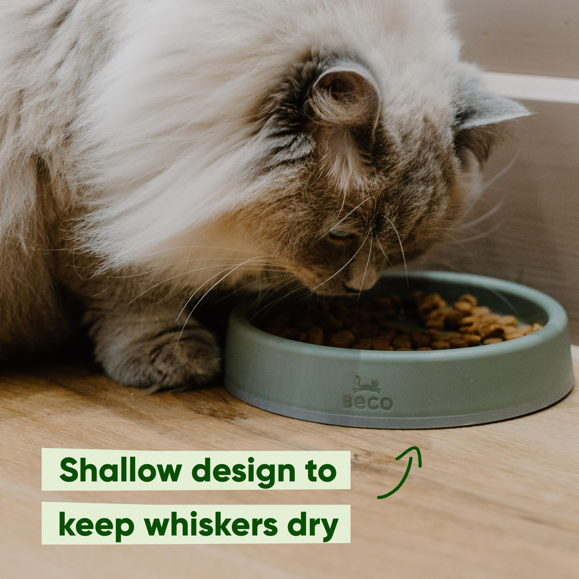 Beco Cat Bowl - Whisker-Friendly Steady Design | Recycled Plastic | Non-Slip Base 4