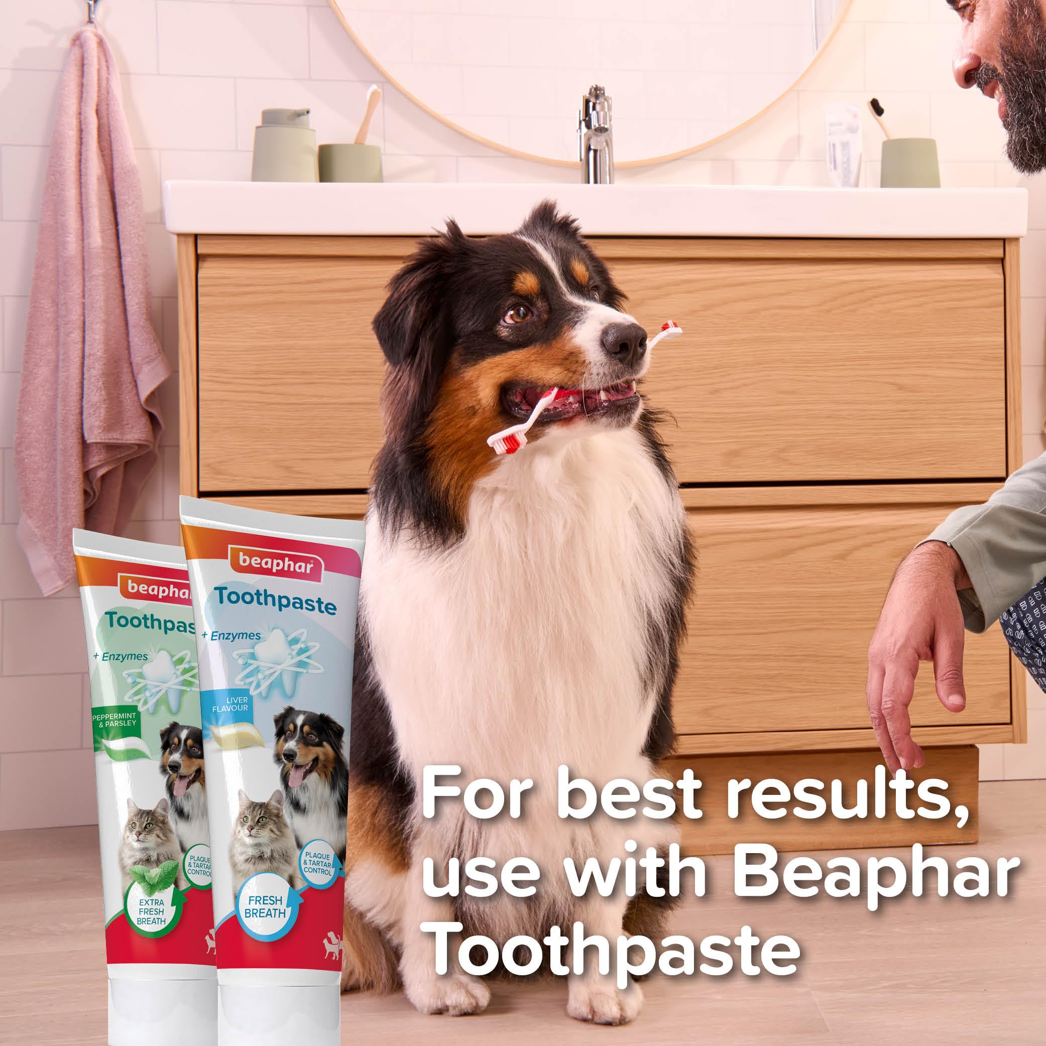 Beaphar Double-Ended Toothbrush for Cats and Dogs | Ergonomic Grip | Deep Cleaning Bristles 4