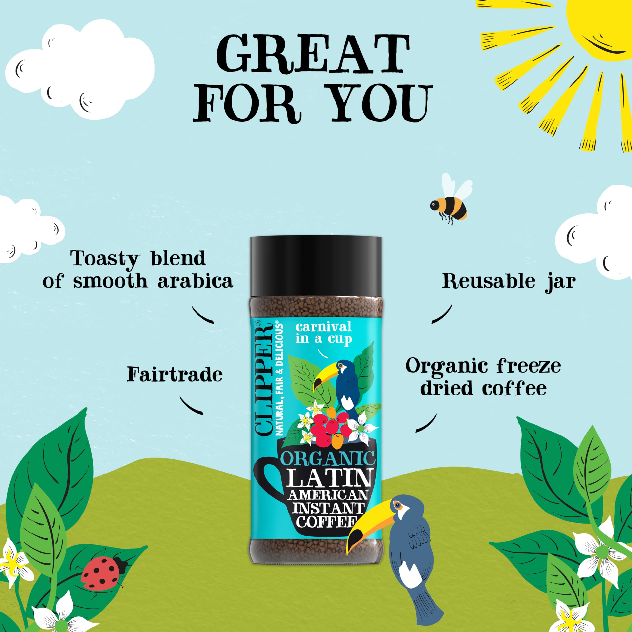 Clipper Natural, Fair & Delicious Latin American Organic Instant Coffee - 6 x 100g Jars | 600g Total