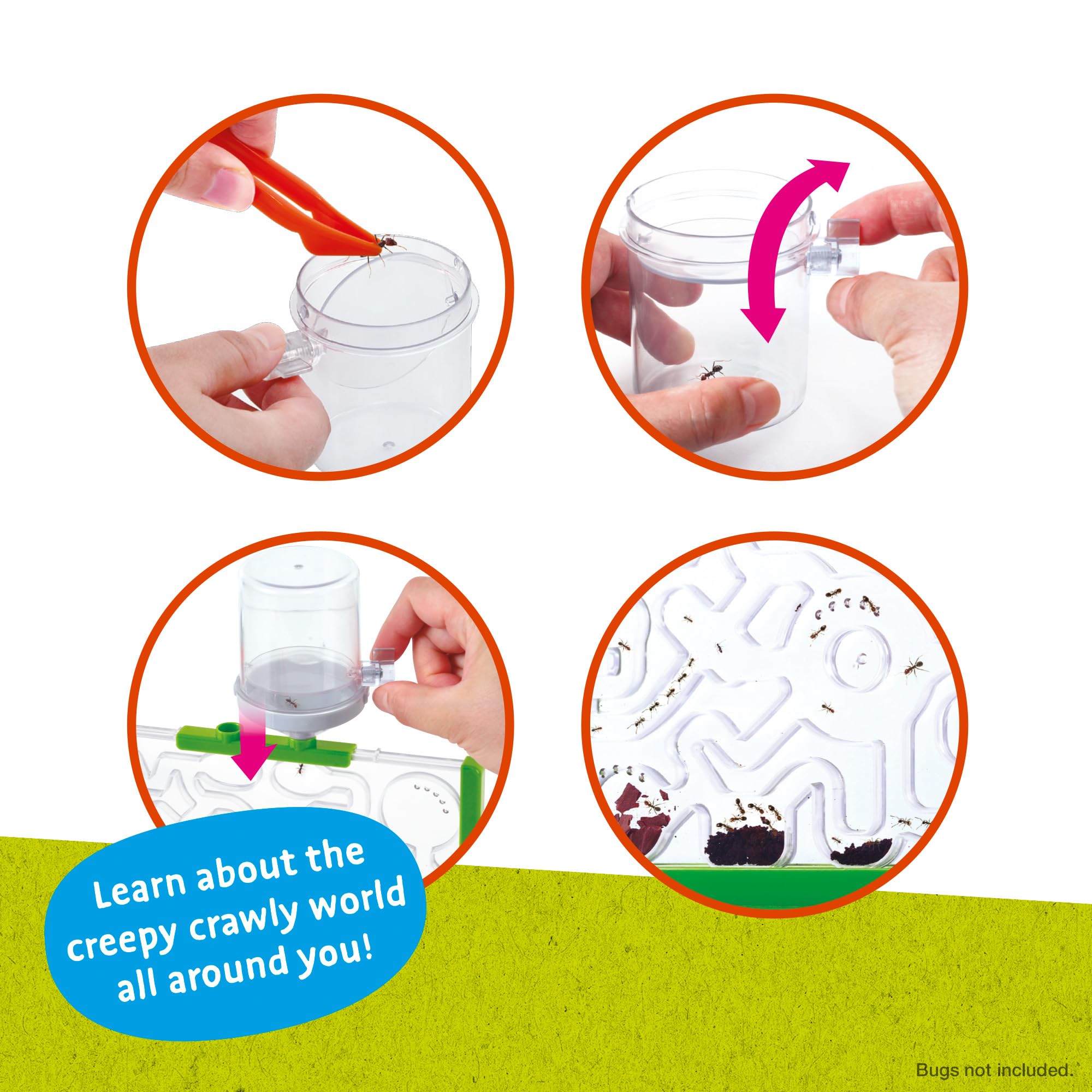 Peterkin Classics Bug City Ant Farm | Educational Science Kit | Unisex Children 4