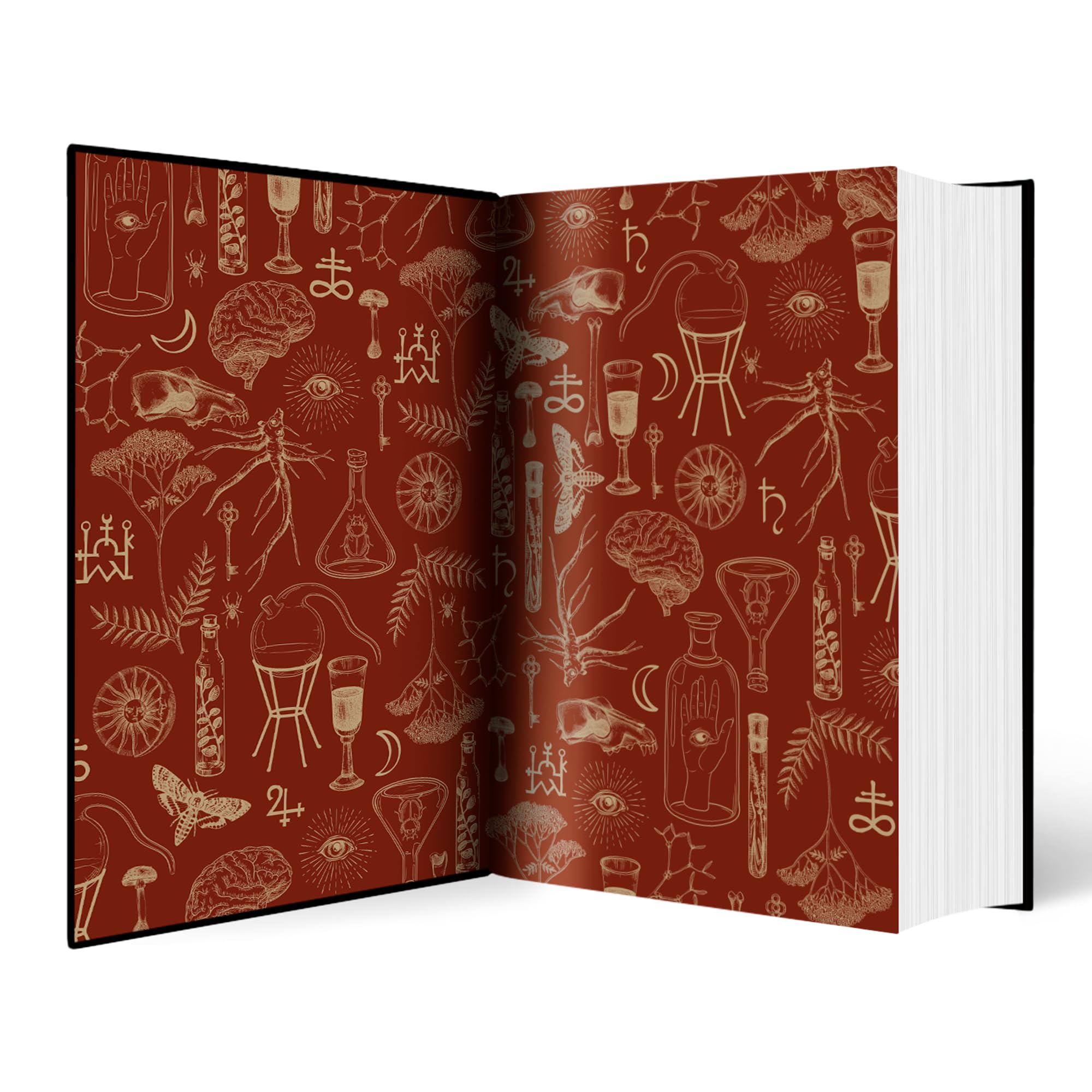 Penguin Alchemised: The 2025 Debut Gaslamp Fantasy Novel by SenLinYu | Hardcover 3