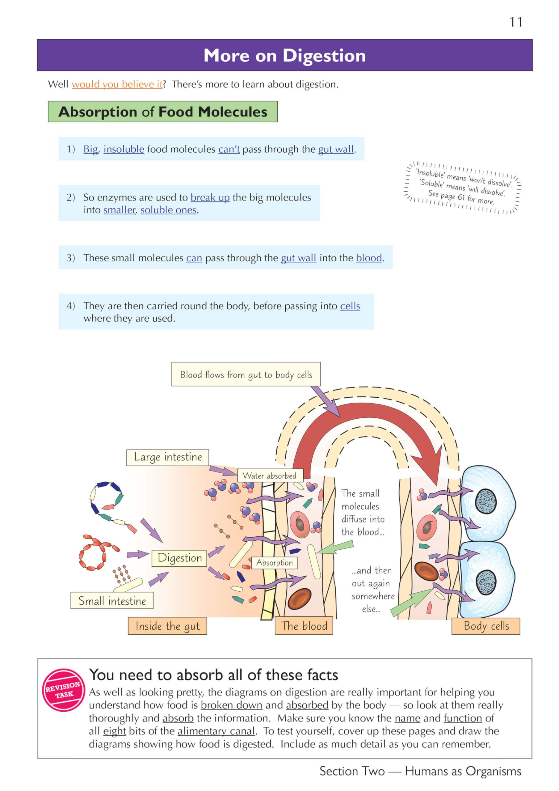 CGP KS3 Science Complete Study & Practice Guide - Higher Level | Paperback | 208 Pages 5