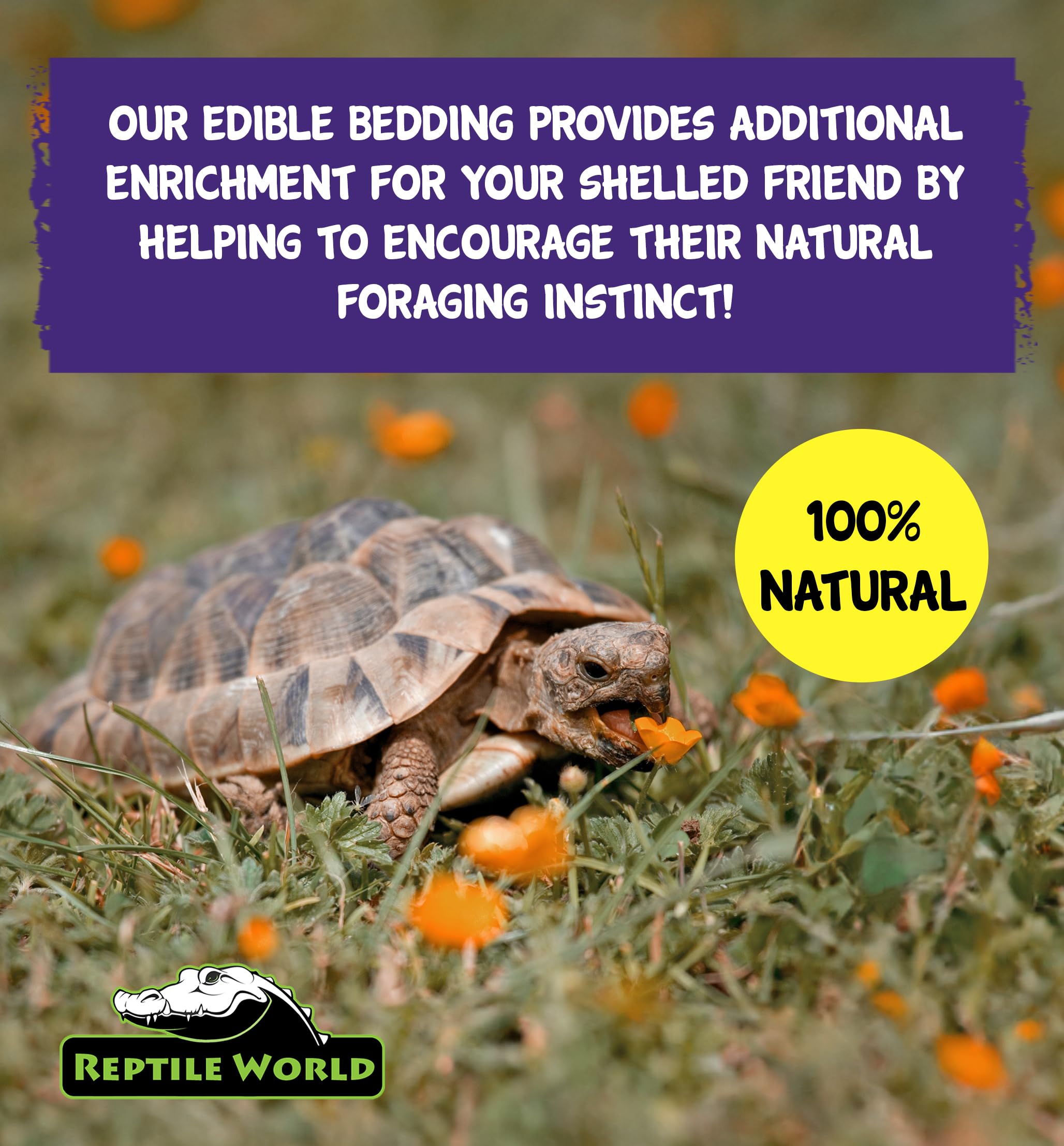 Reptile World Edible Tortoise Bedding - 10L Bag | Natural Grass & Flowers | All Life Stages 3