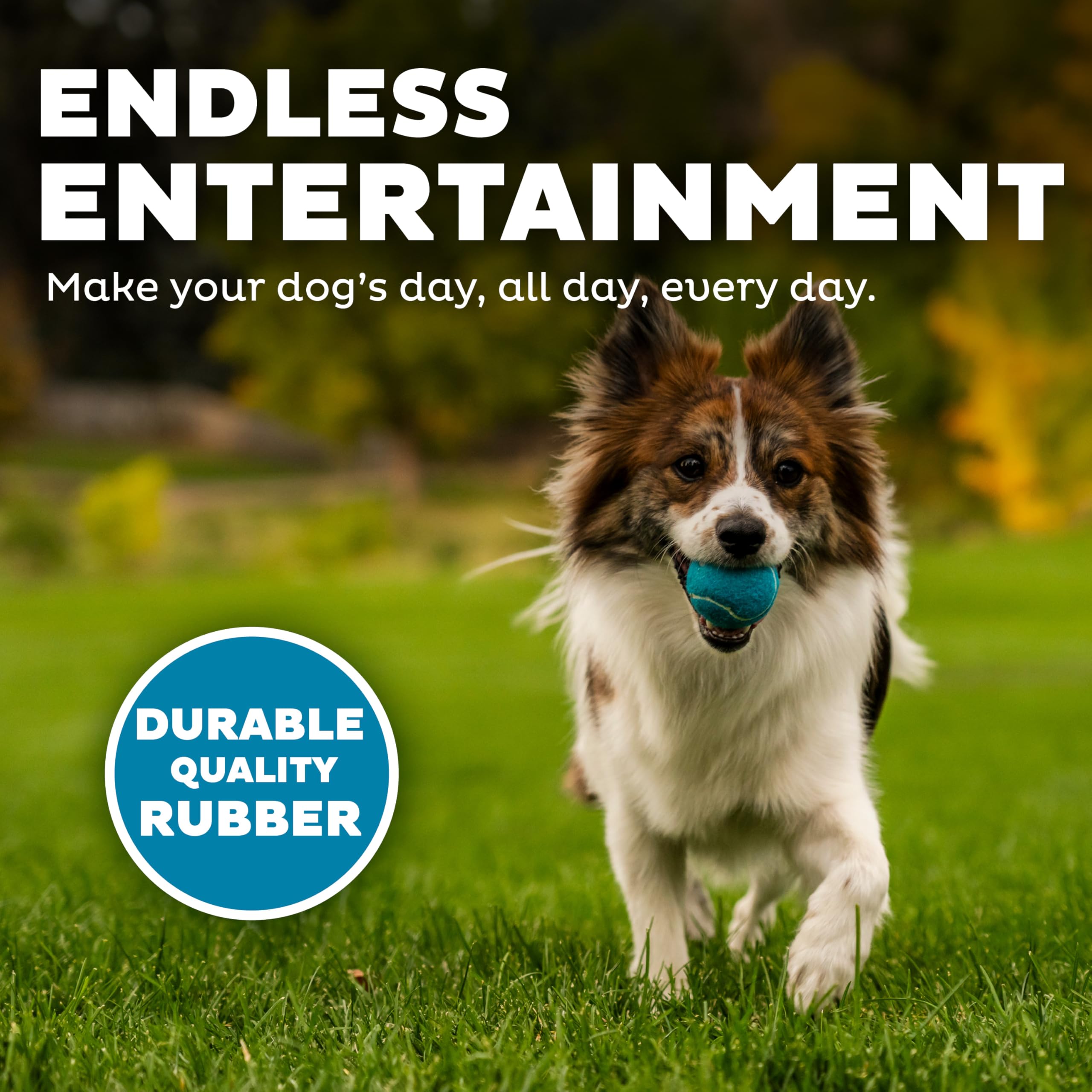 Outward Hound Squeaker Ballz Fetch Dog Toy - Small Size, 4 Pack | Natural Rubber 4
