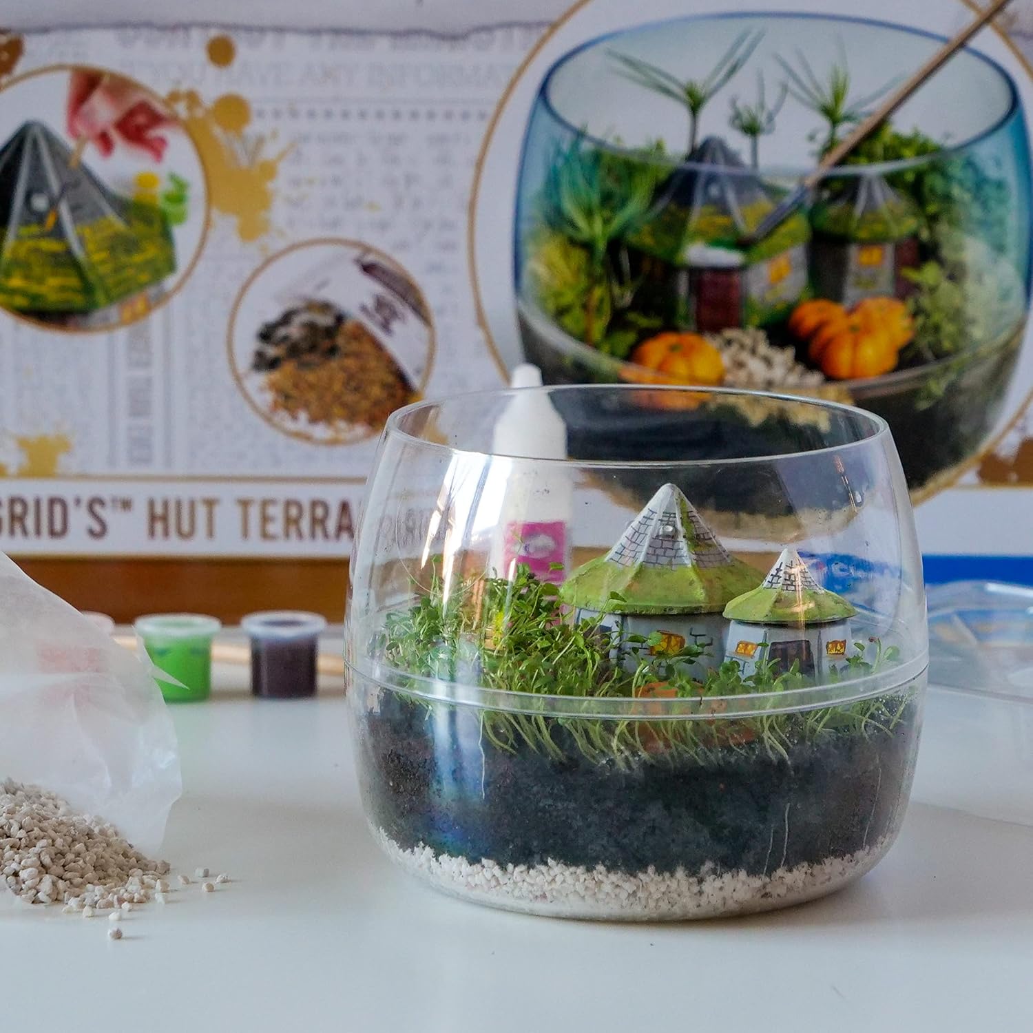 Clementoni 19248 Terrarium - Harry Potter Hagrid's Hut Educational Kit for Kids Ages 7+ 7