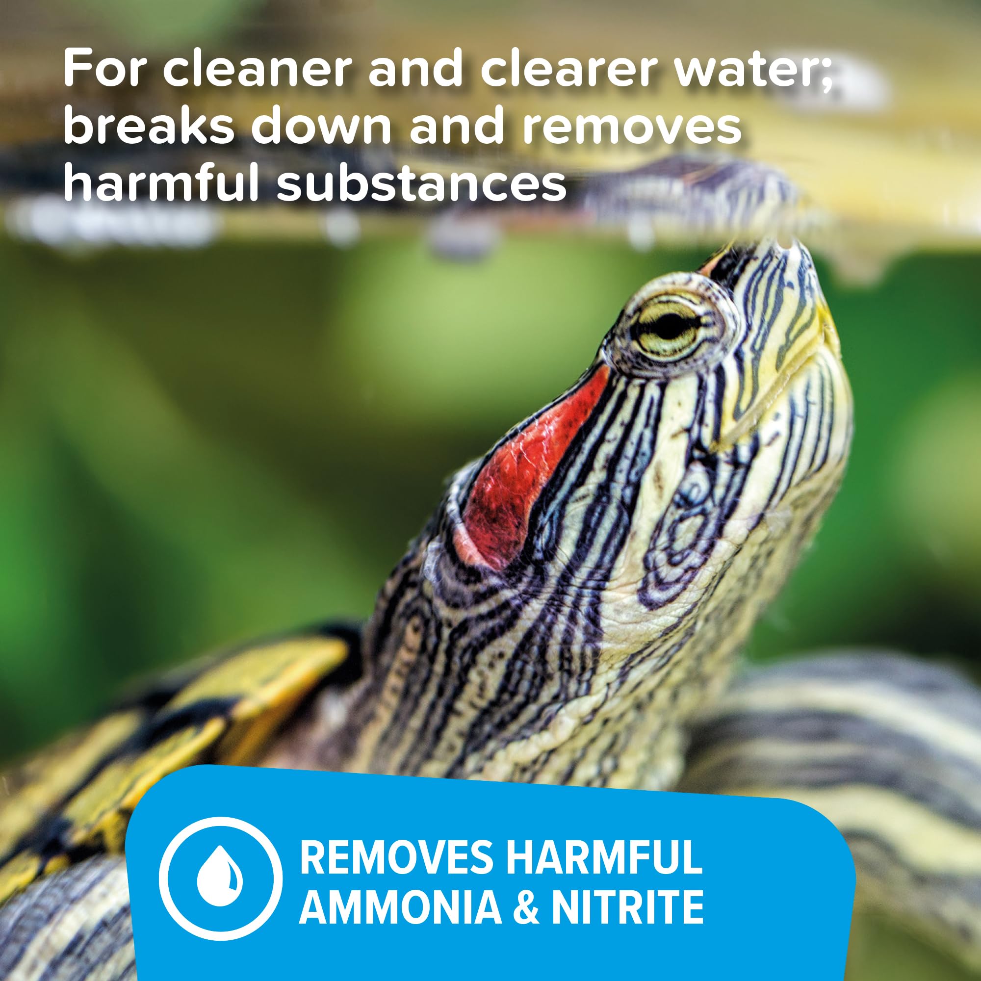 King British Turtle & Terrapin Water Freshener - 100ml Liquid for Cleaner Water | Ammonia & Nitrite Removal 5