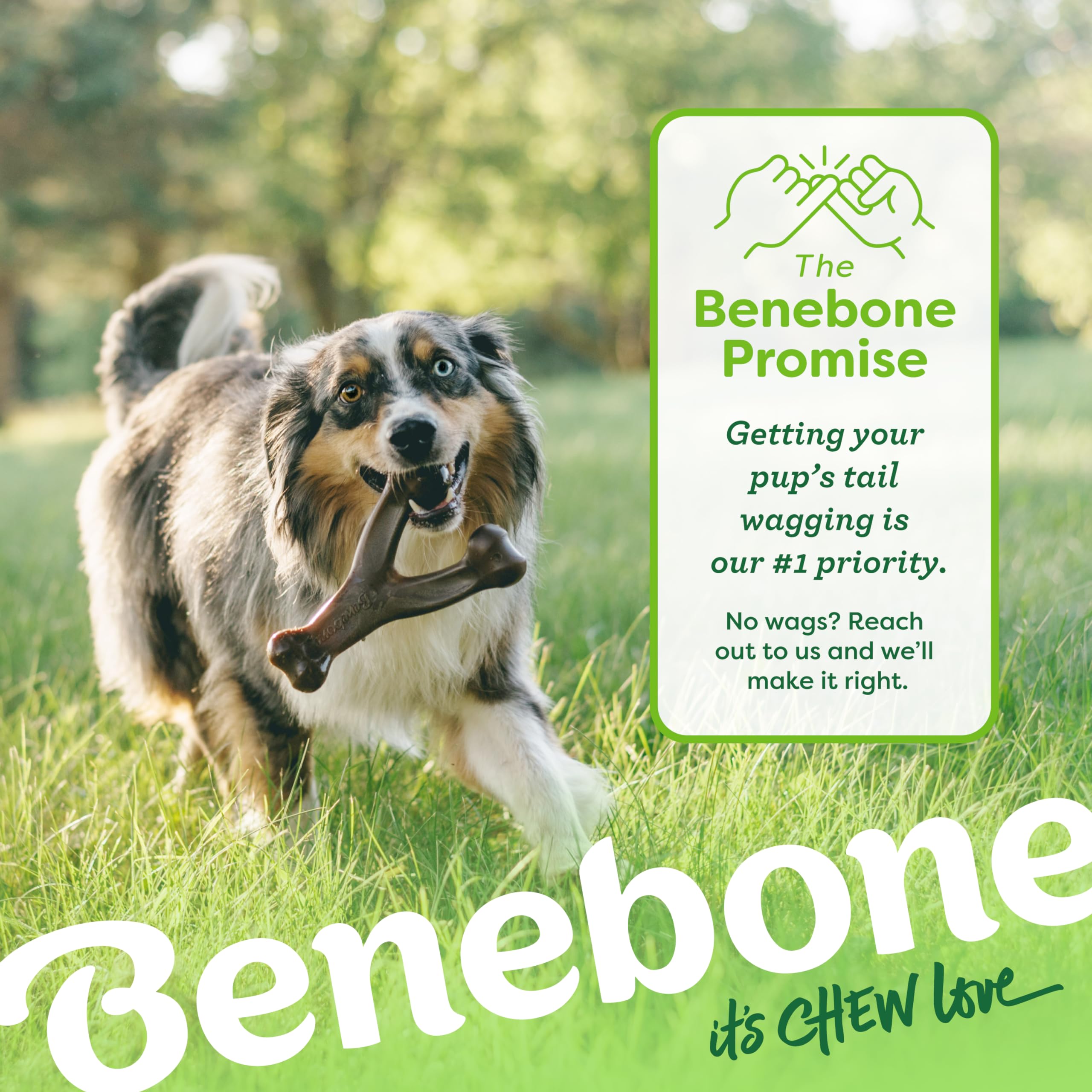 Benebone Wishbone Durable Dog Chew Toy - Bacon Flavor | Giant Size | Heavy Duty 6