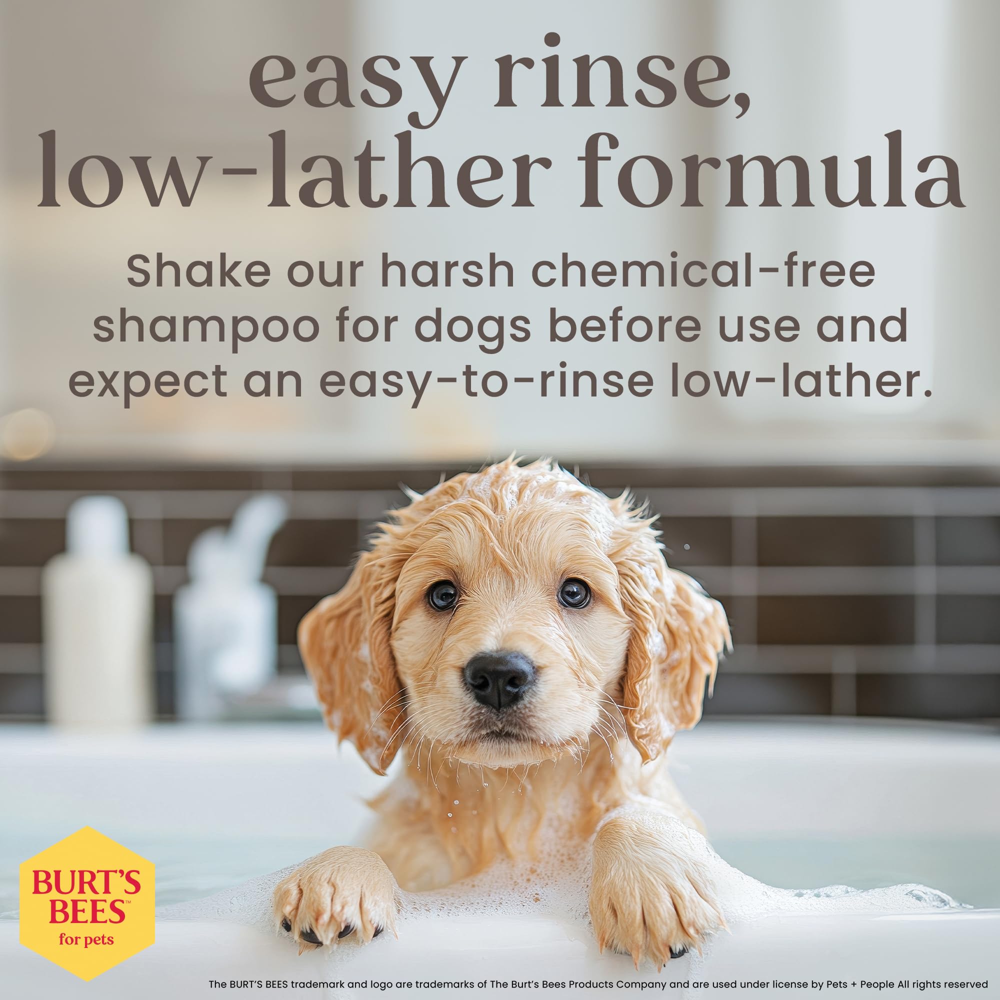 BURT'S BEES FOR PETS Tear Free Puppy Shampoo & Conditioner with Buttermilk | 473 ml 4