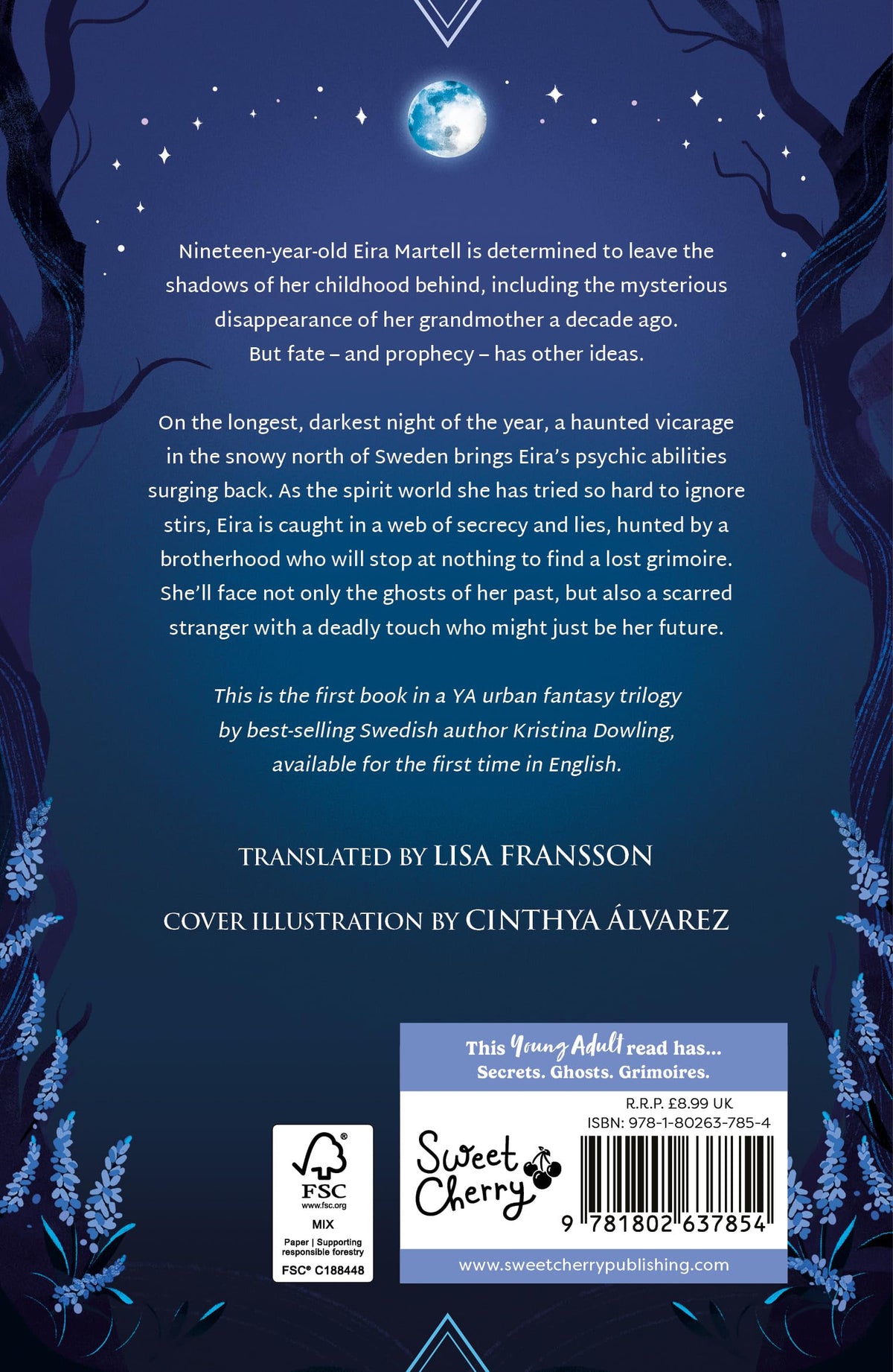 Girl of Darkness by Kristina Dowling - YA Supernatural Mystery | 304 Pages | Ages 12-18 3