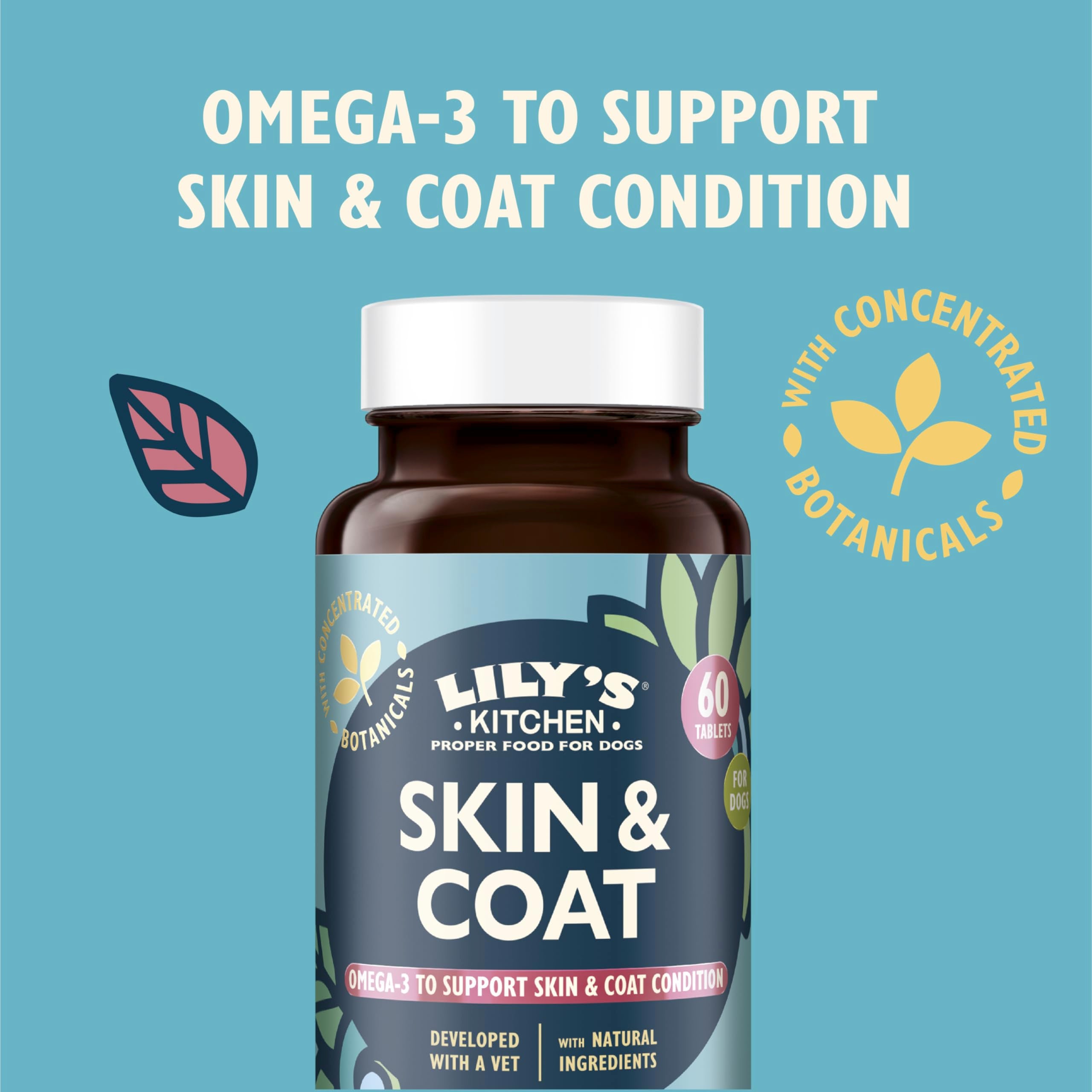 Lily's Kitchen Skin & Coat Support Supplements for Adult & Senior Dogs | 60 Tablets 3