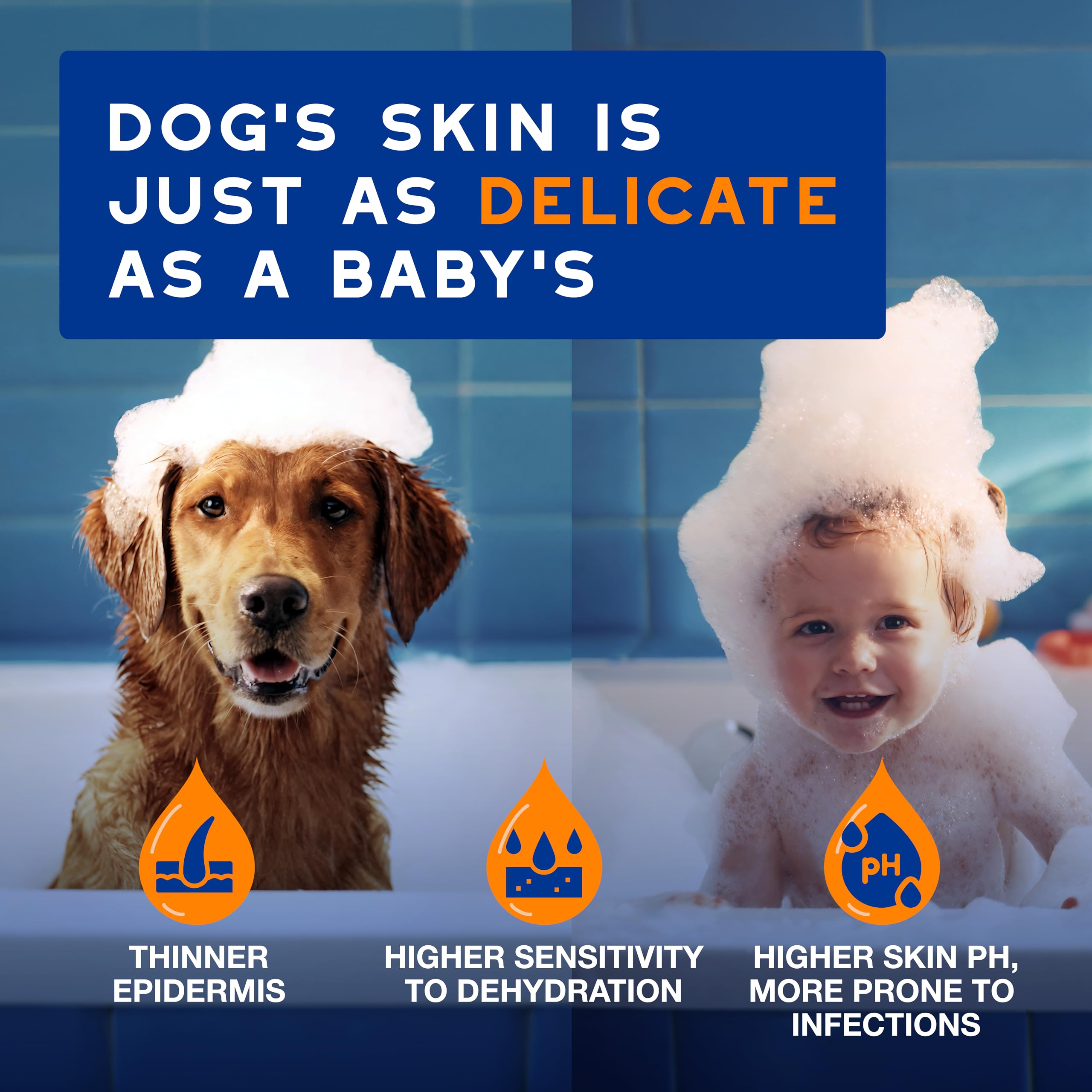 Douxo Skin & Coat SPA Detangling Spray for Dogs - Hypoallergenic Coco Vanilla Scent | 295ml 3