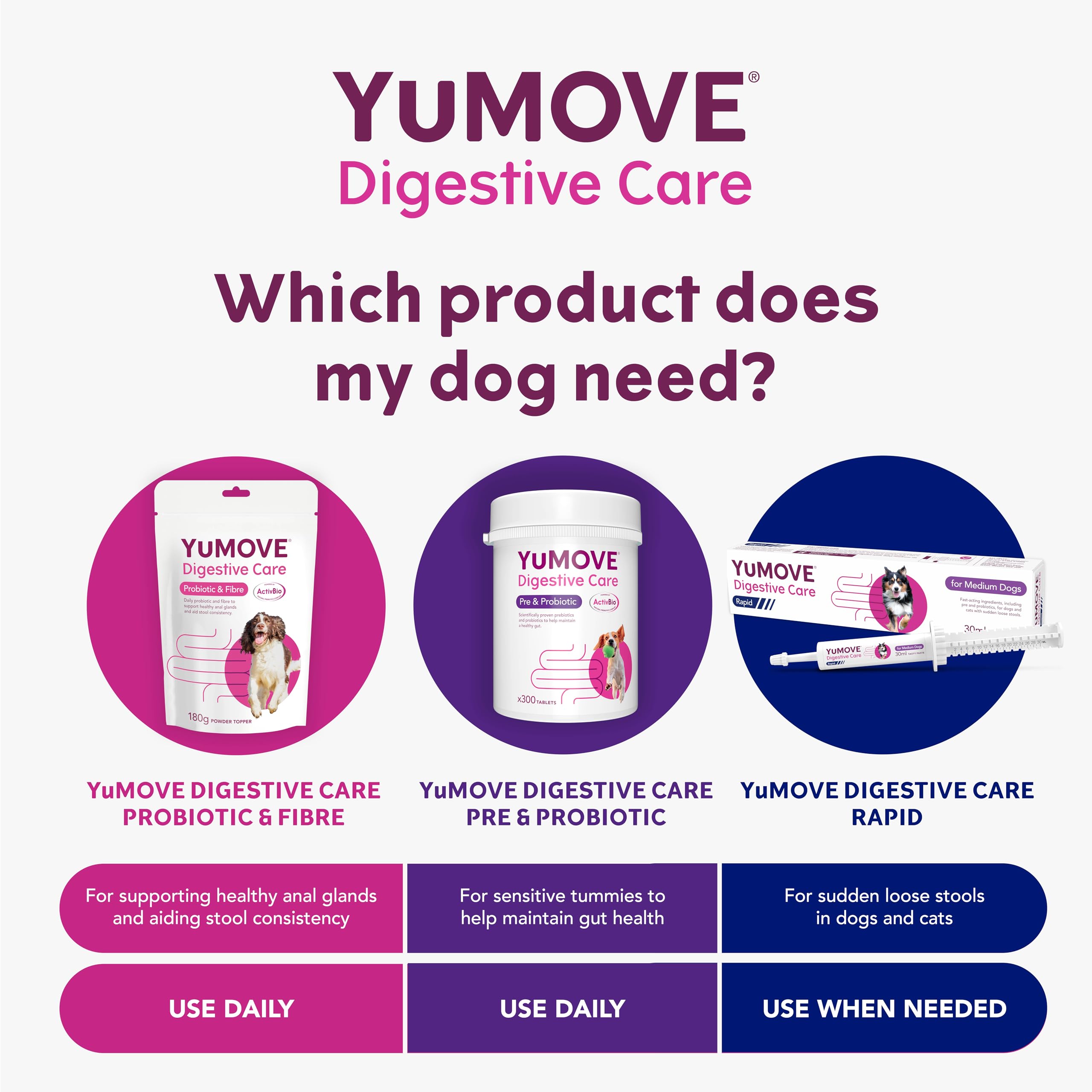 YuMOVE Digestive Care Dog Pre and Probiotics Supplement for Gut Health | 300 Tablets 5