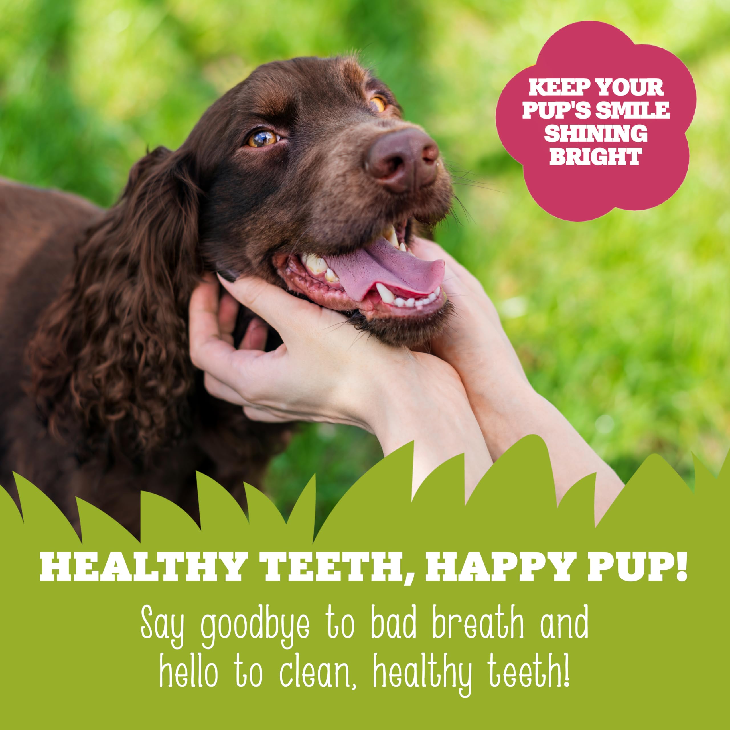 Soopa Strawberry Dog-Quiri Dental Sticks - 100g | Hypoallergenic | Adult Dogs 4