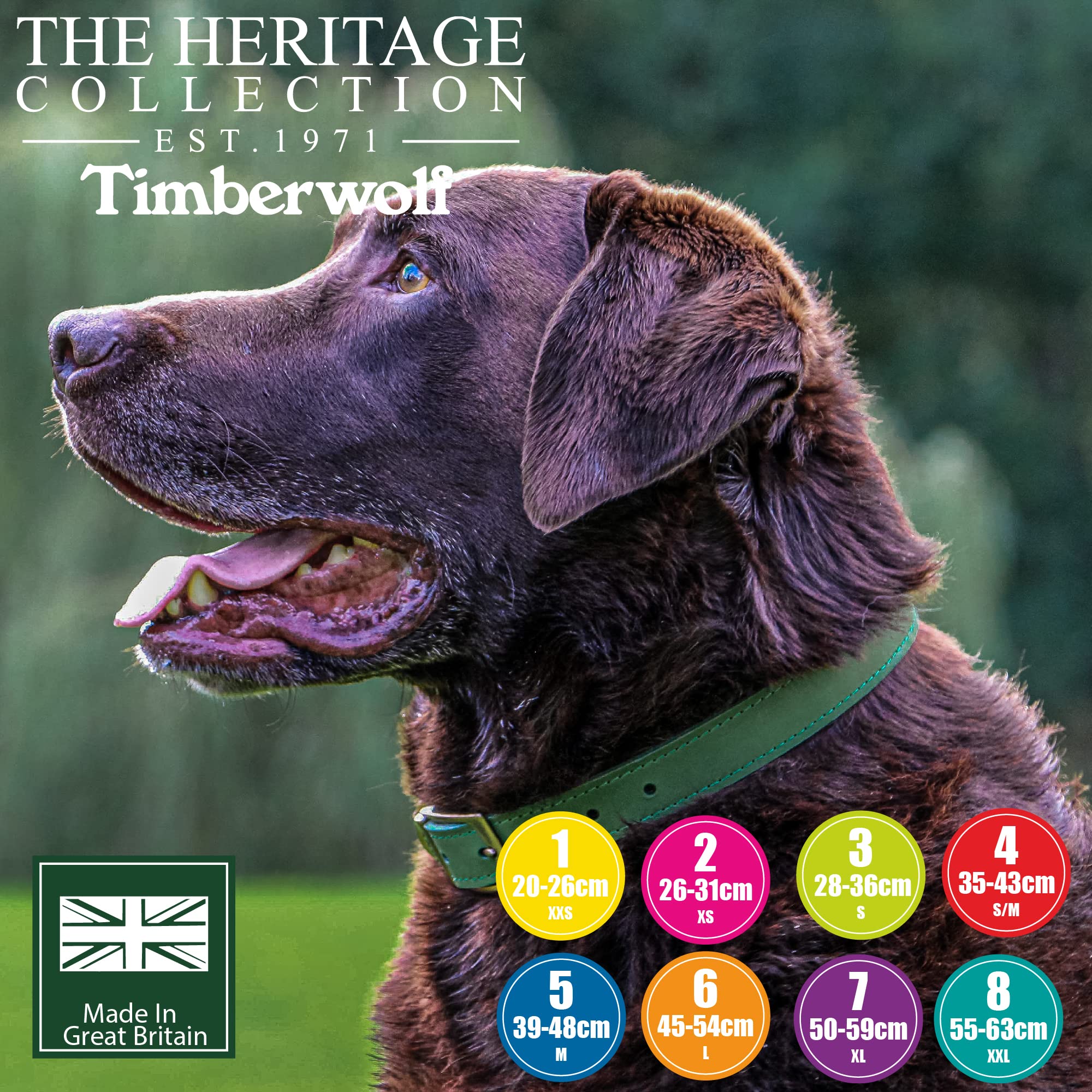 Ancol Timberwolf Premium Leather Dog Collar - Top-Grain Bridle Leather | Size 3 (28-36 cm) 3