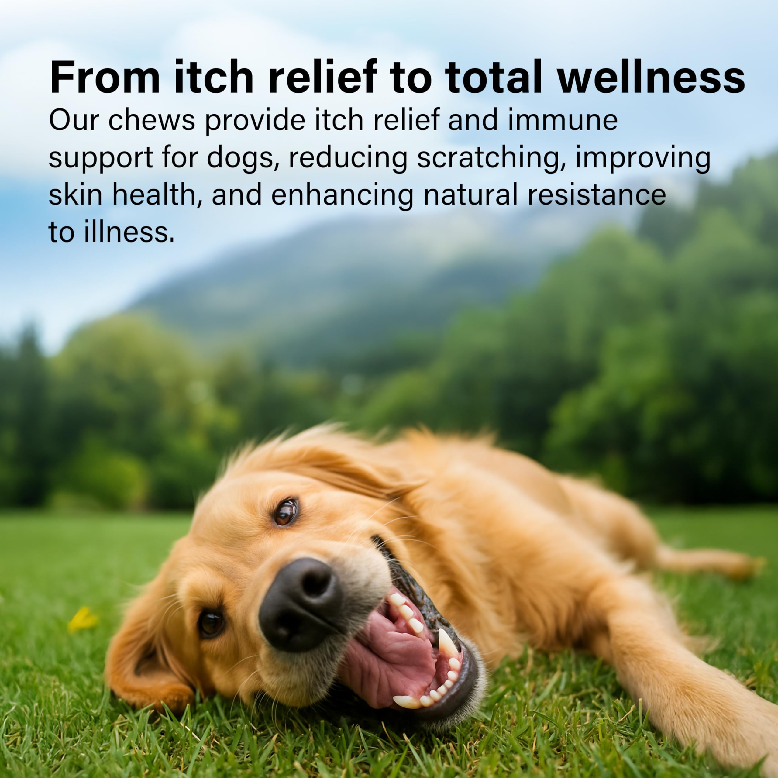 Go Mutts All Itch and Immunity Treats for Dogs - 90 Soft Chews | Anti-Itch & Immune Support 7