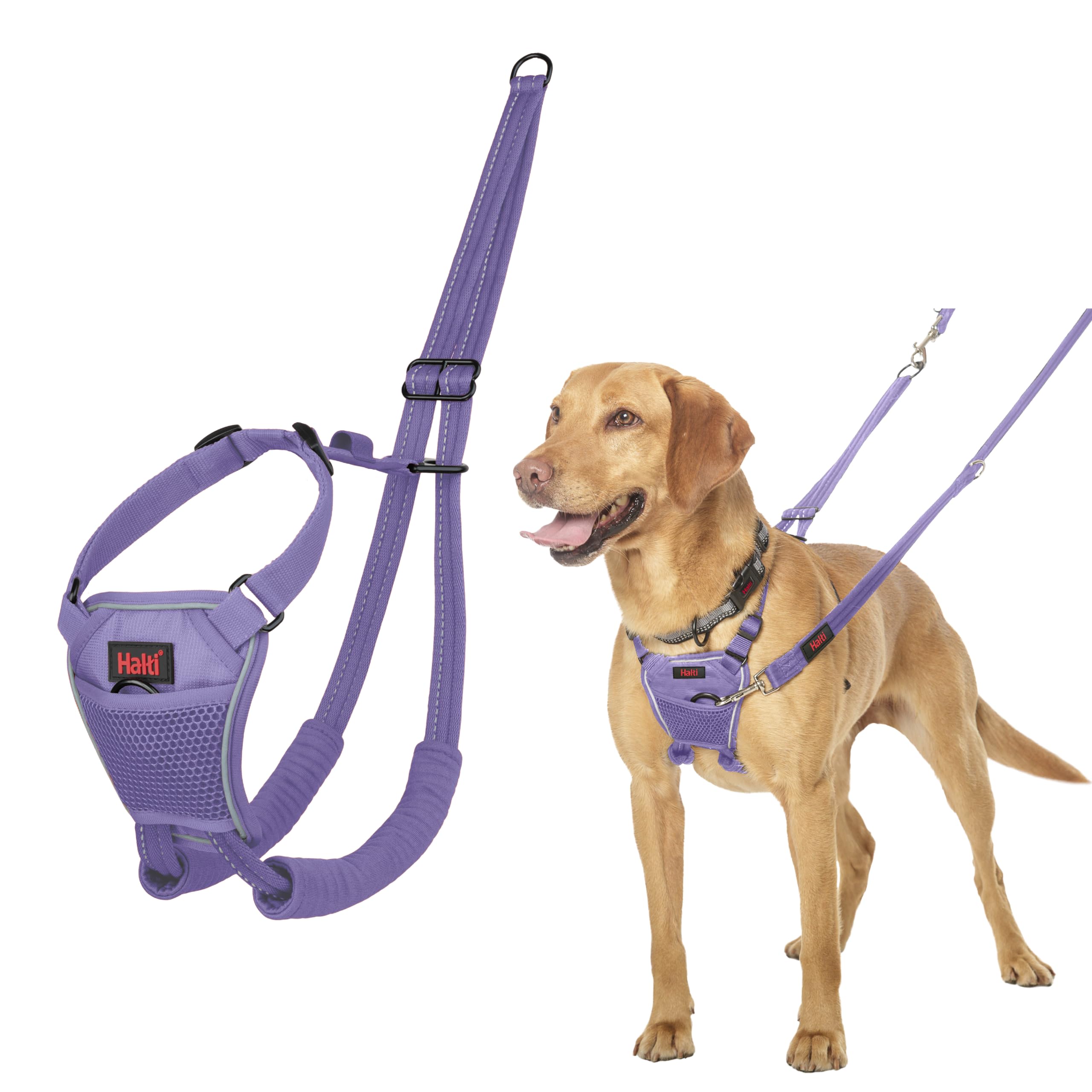 Halti No Pull Dog Harness - Stops Pulling, Comfortable Fit | Size M, Purple 1