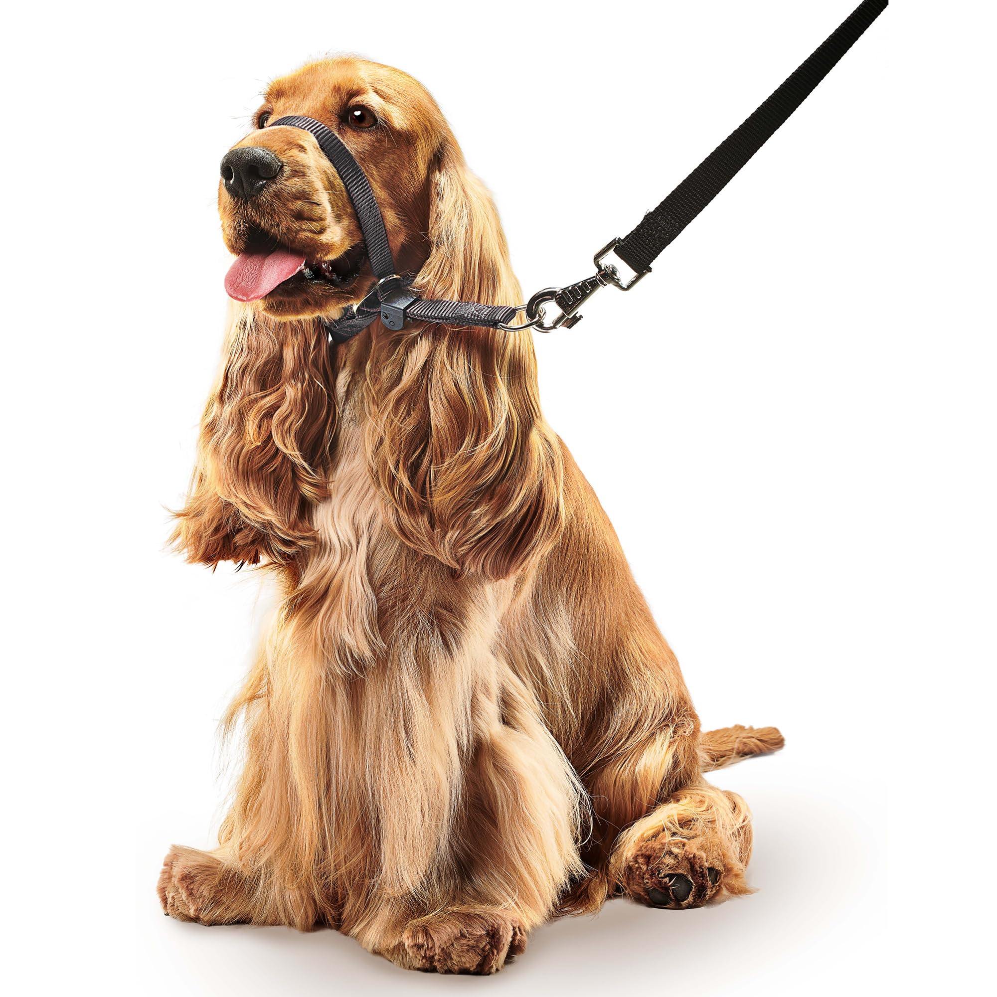 Beaphar Gentle Leader Head Collar - Medium Dog Training Aid | Stops Pulling | Black Nylon 4
