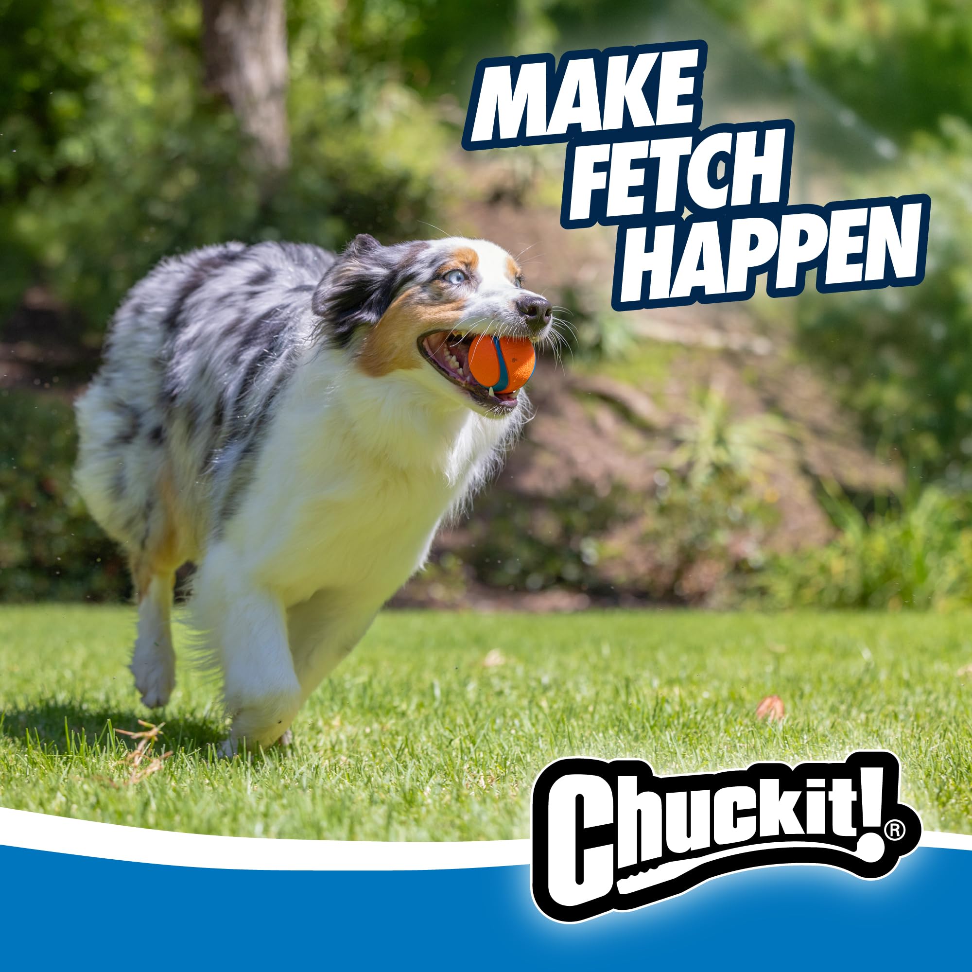 Chuckit! Ultra Ball - Durable High Bounce Rubber Dog Ball for Fetch | Launcher Compatible | Medium (2 Pack) 6