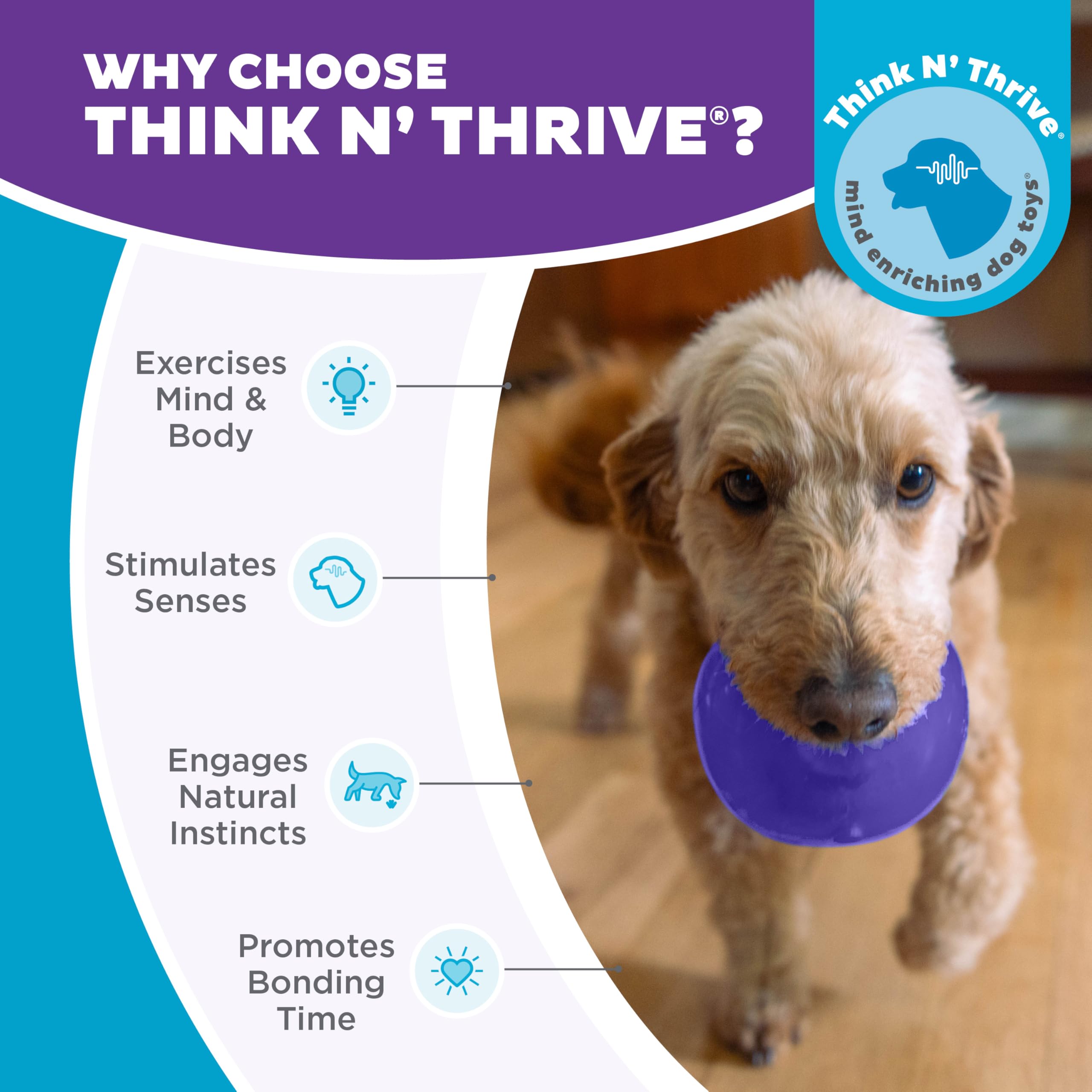 Outward Hound Lil' Snoop Treat Dispensing Dog Toy | Durable Orbee-Tuff | Mint Scented | Small Dogs 7